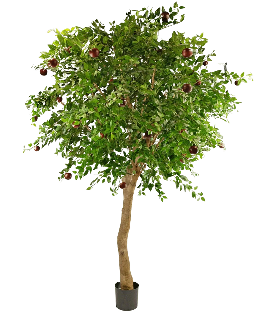 Miniatuur 1