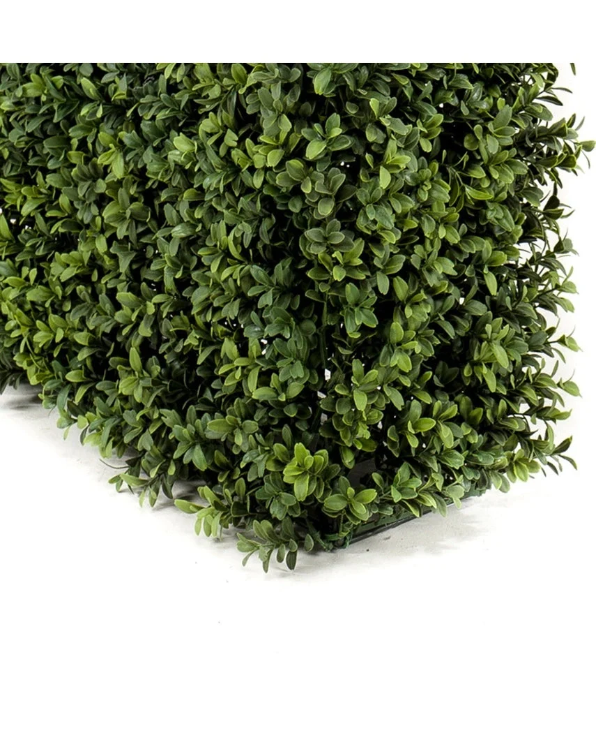Miniatuur 2