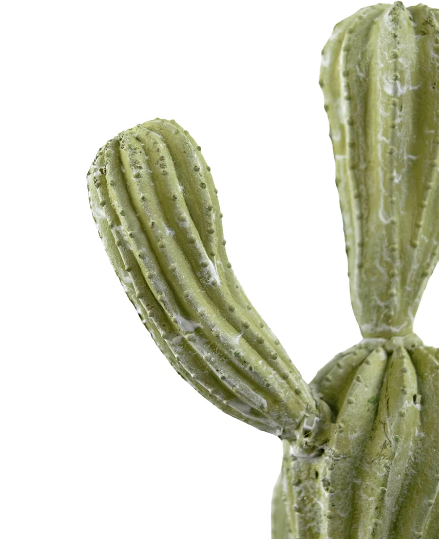Miniatuur 2