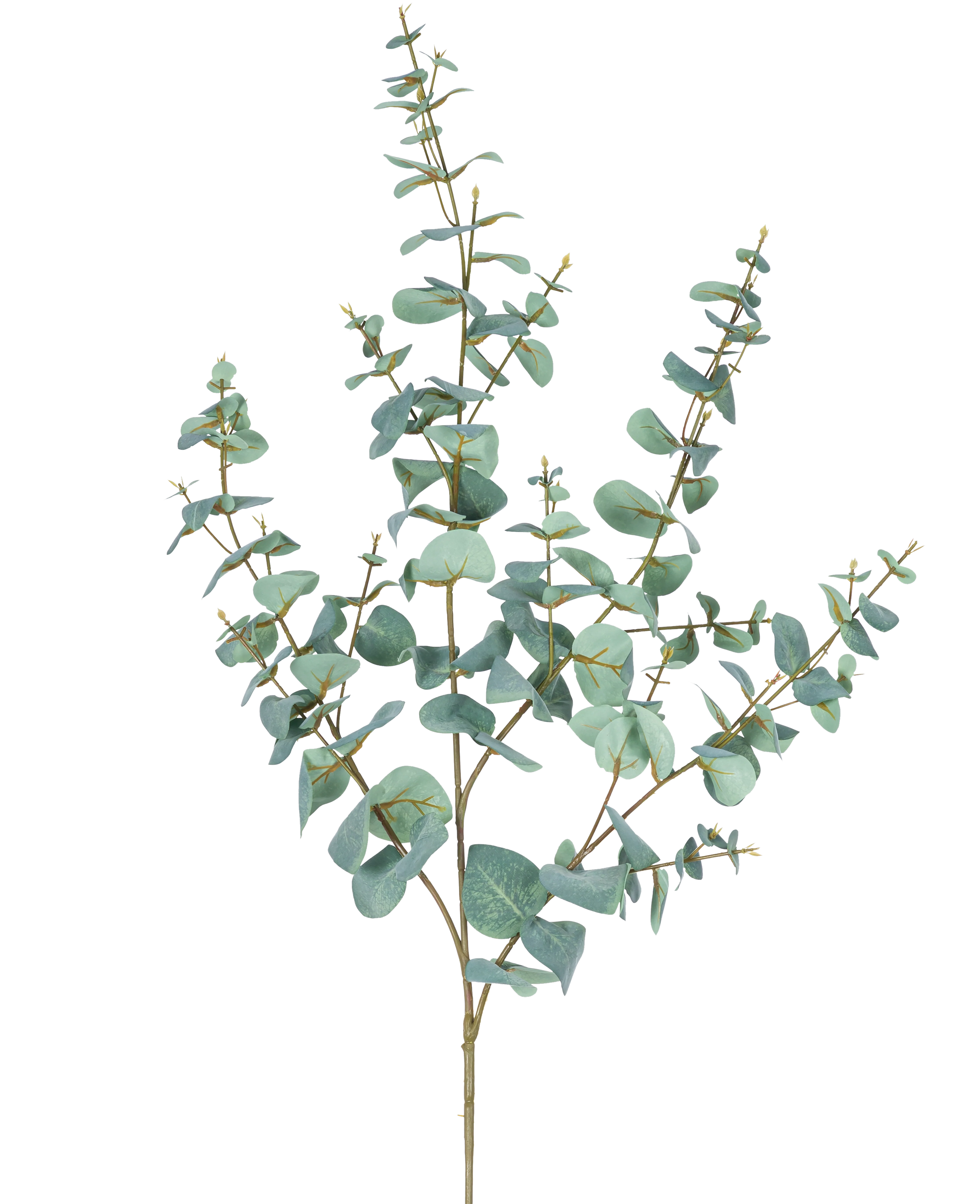 Miniatuur 1