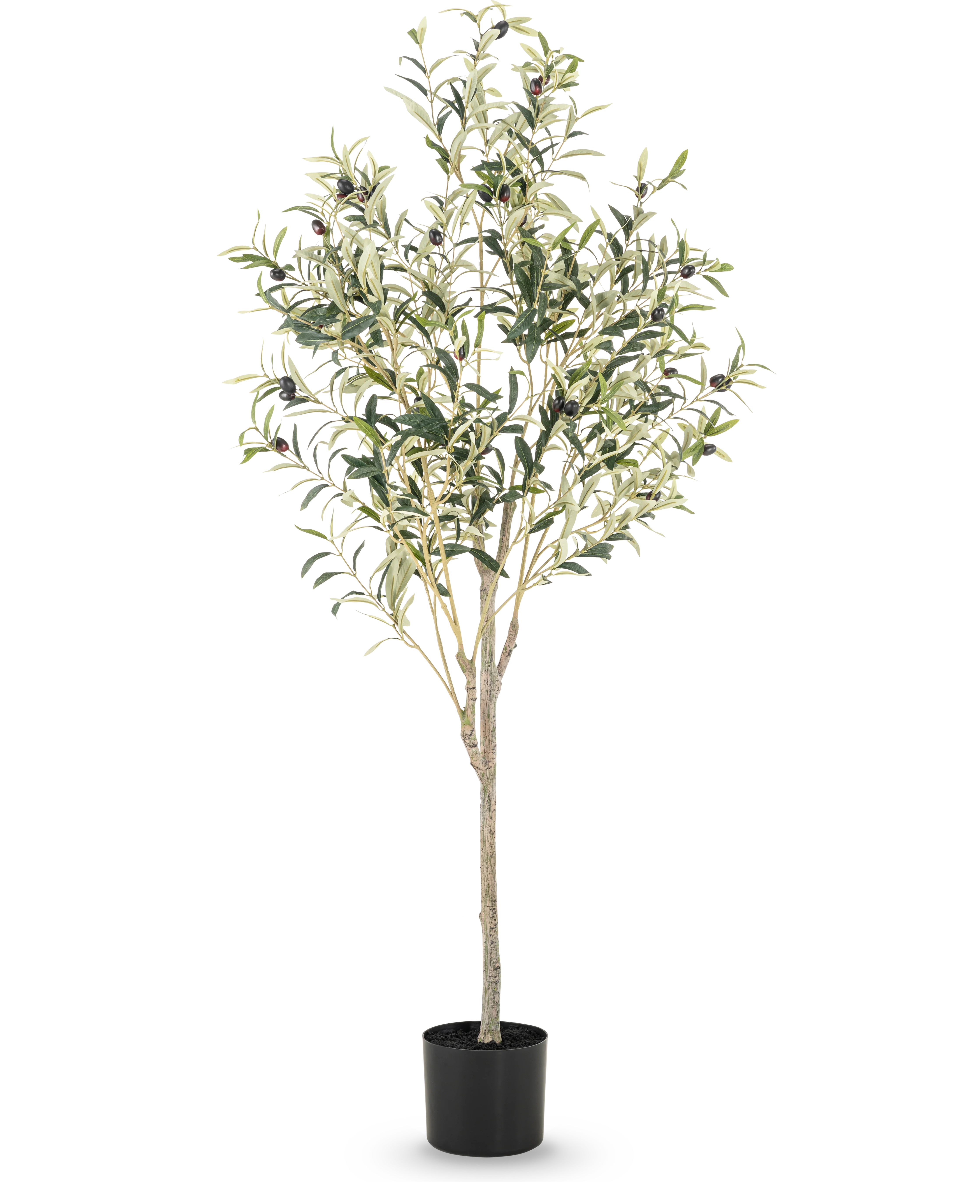 Miniatuur 1
