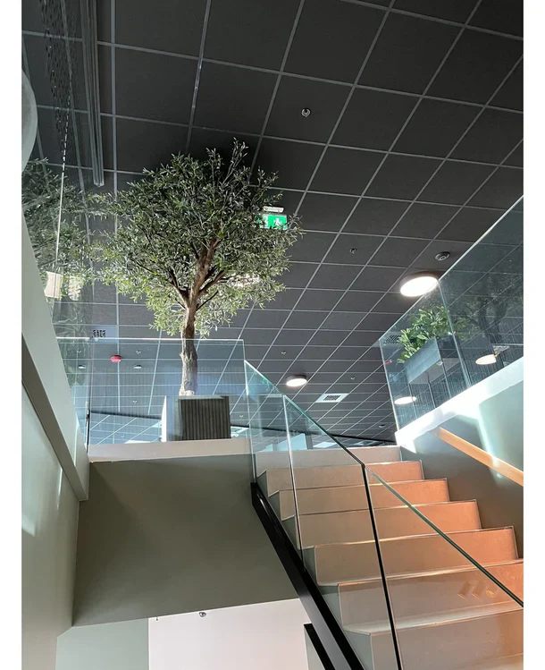 Productafbeelding 3