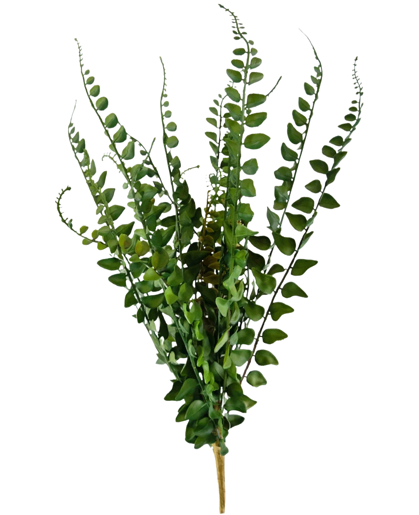 Miniatuur 1