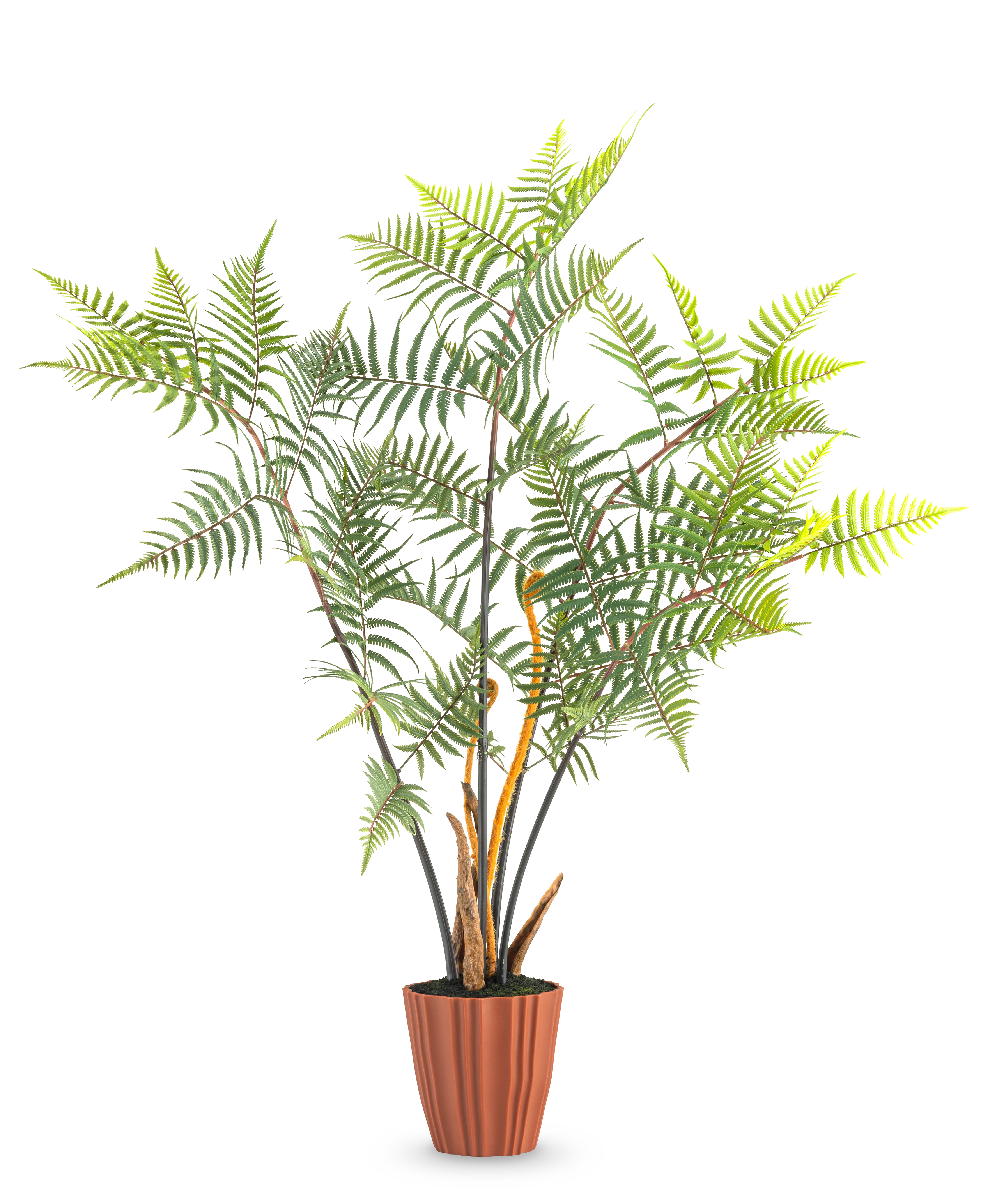 Miniatuur 1