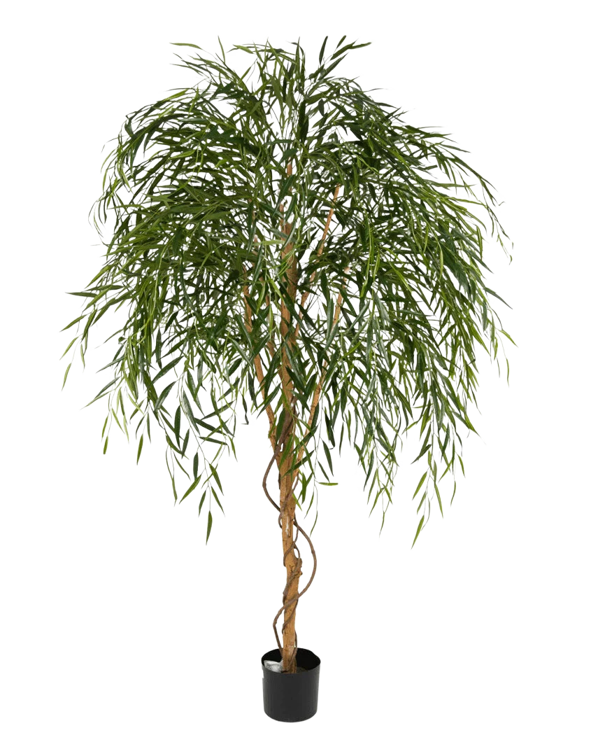 Miniatuur 1