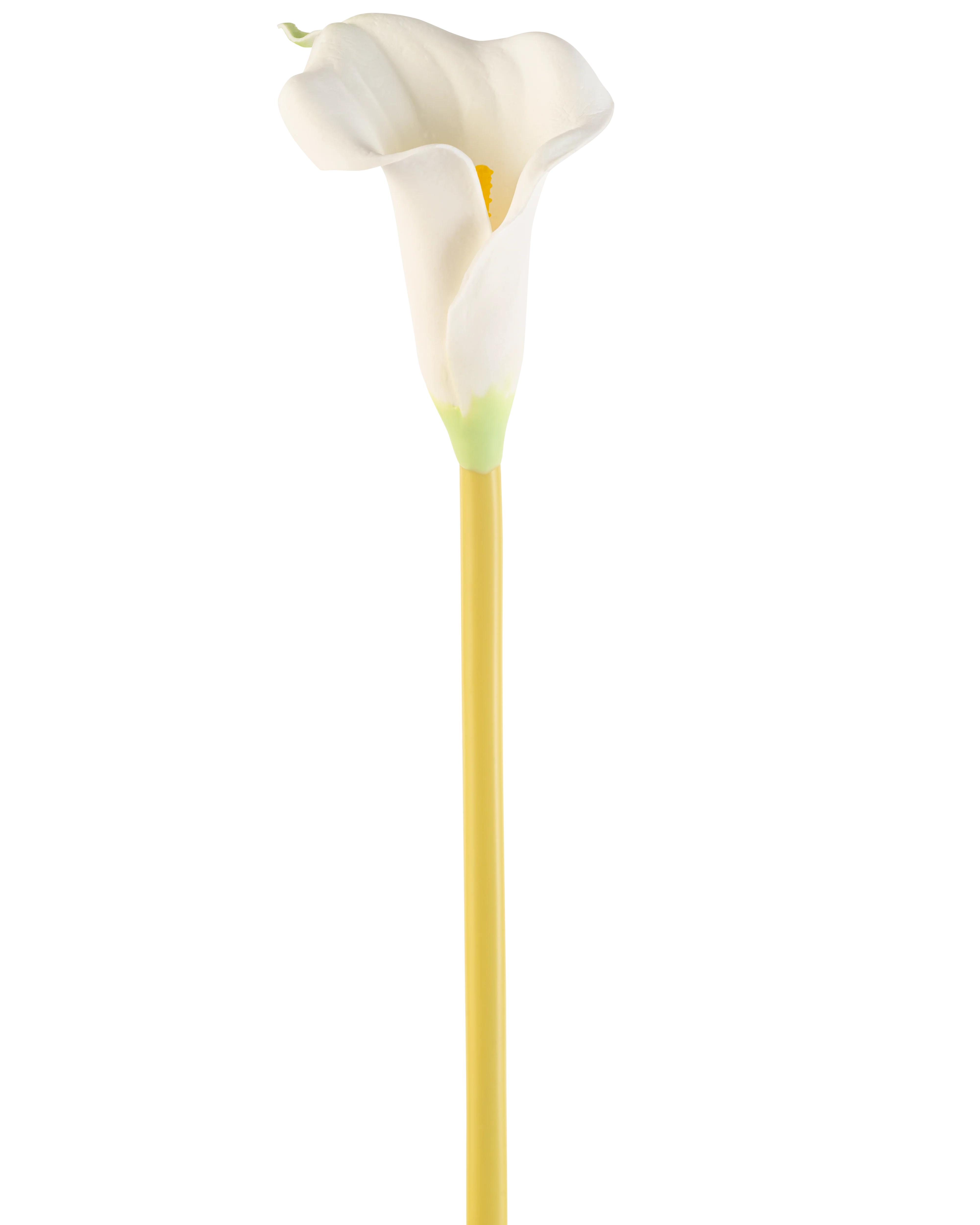 Productafbeelding 1