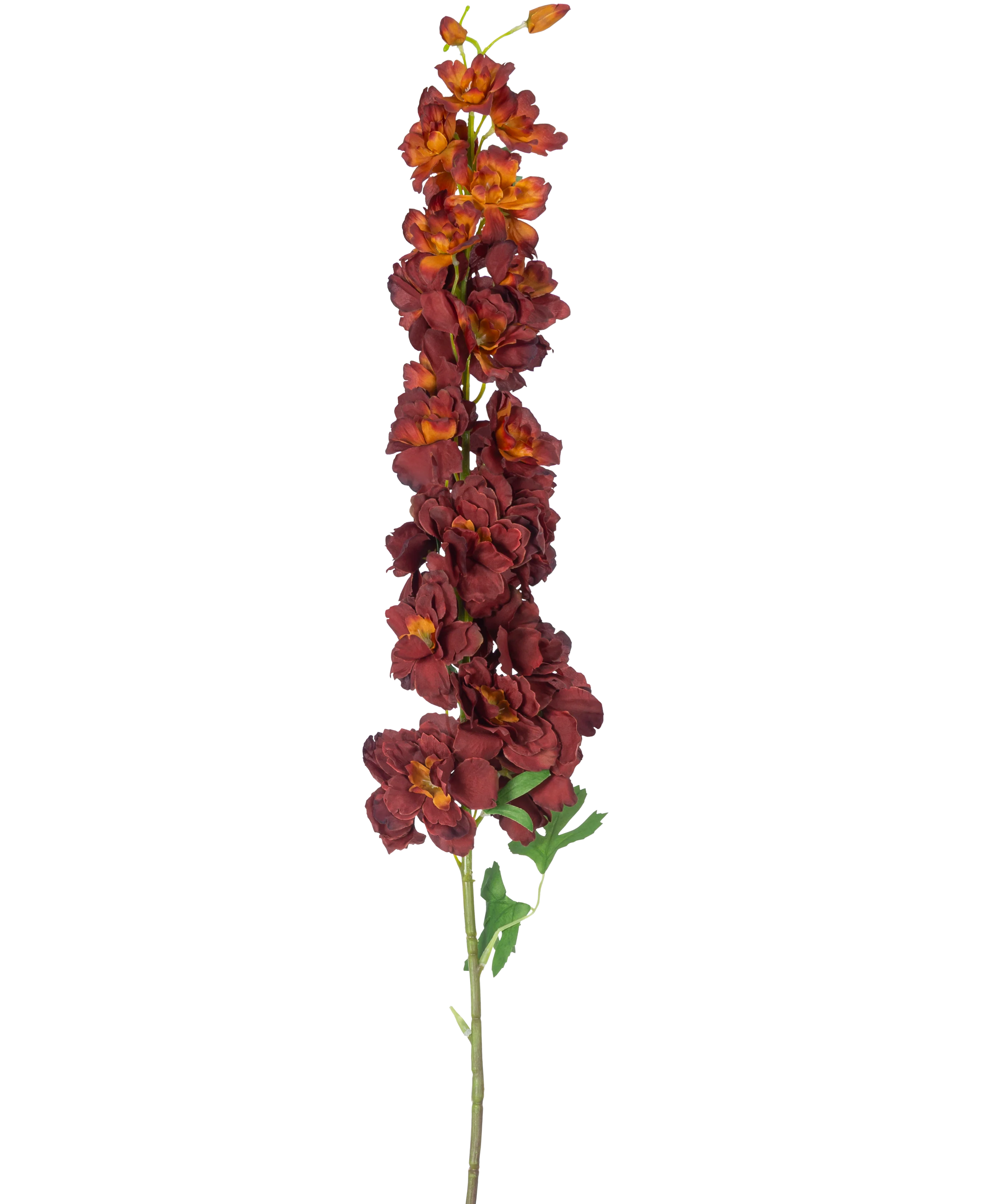 Miniatuur 1