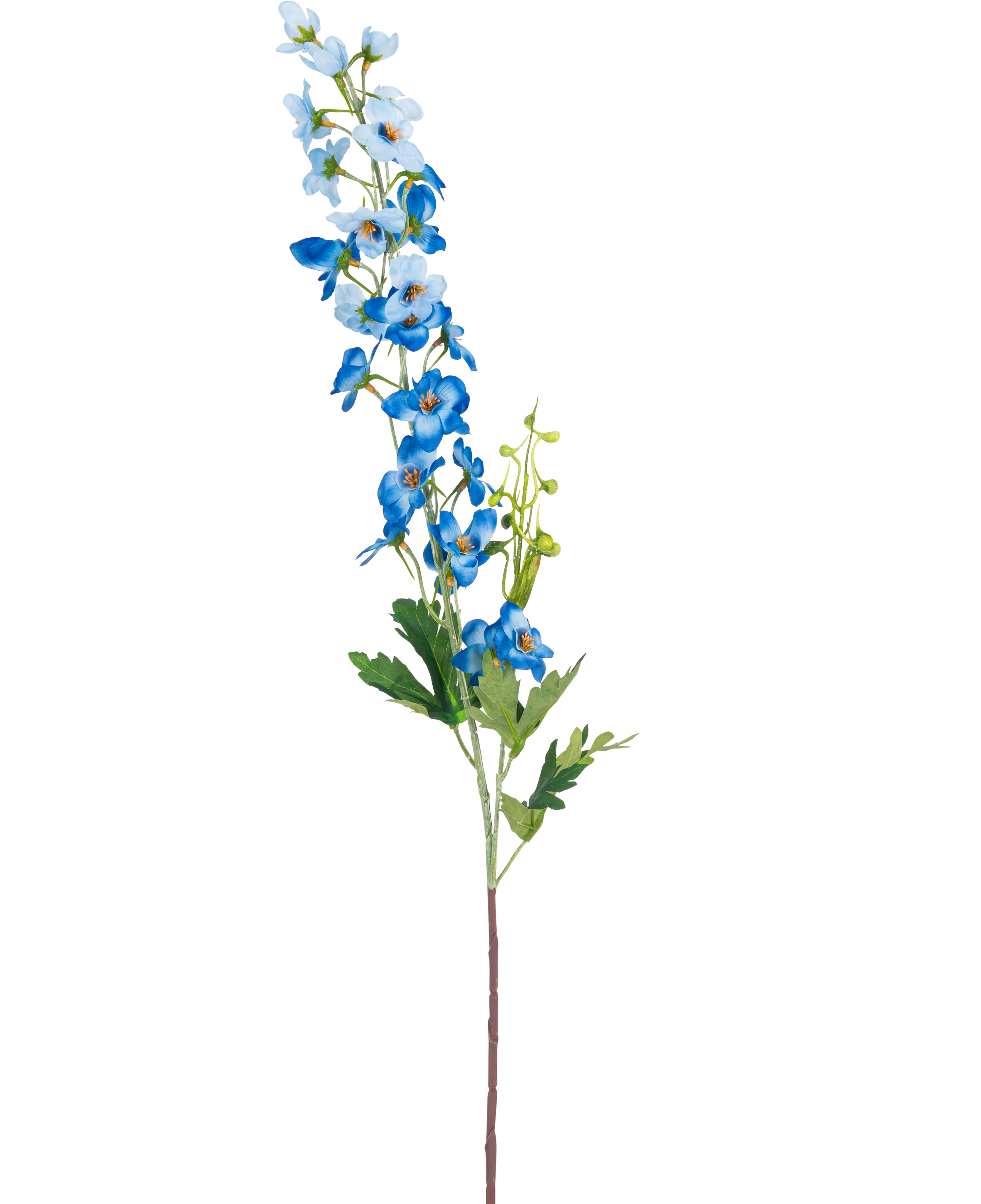 Miniatuur 1
