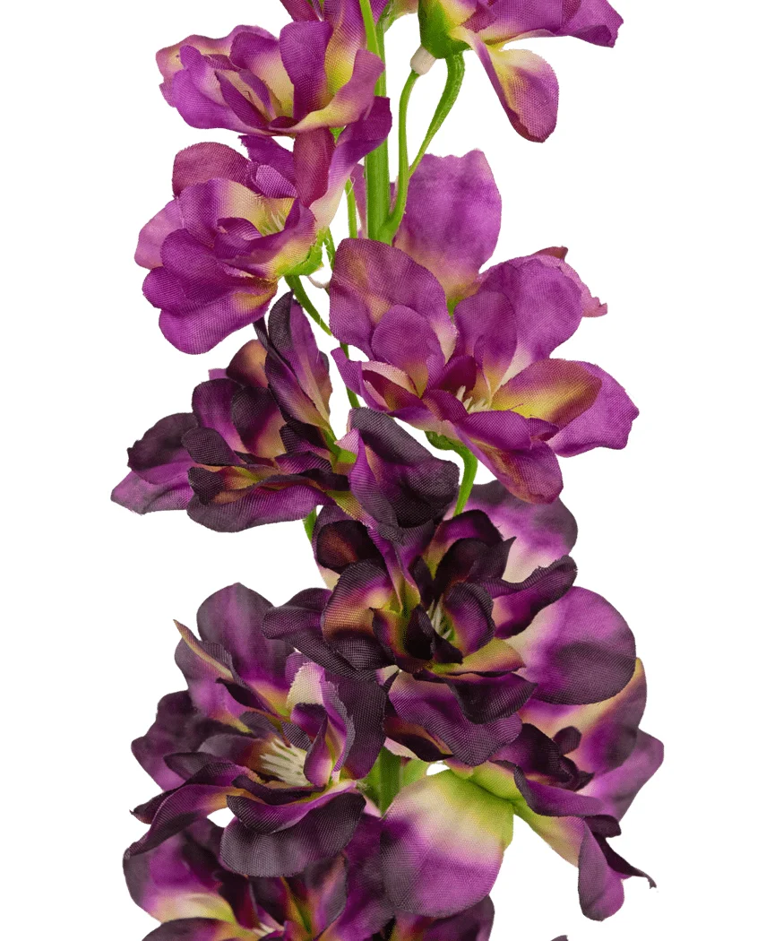 Miniatuur 2