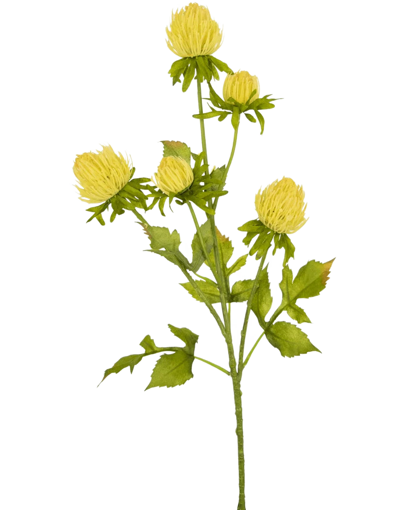 Miniatuur 1