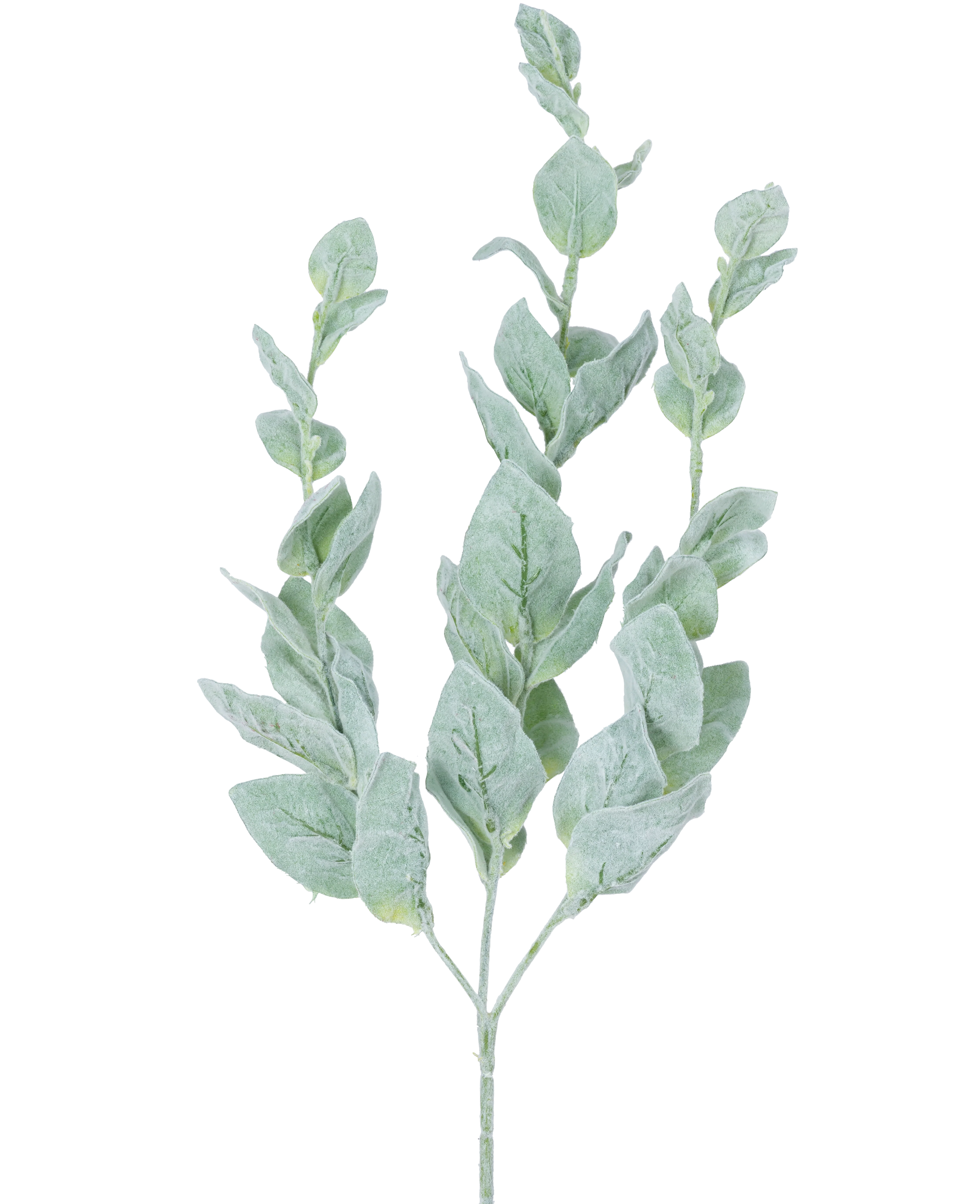 Miniatuur 1