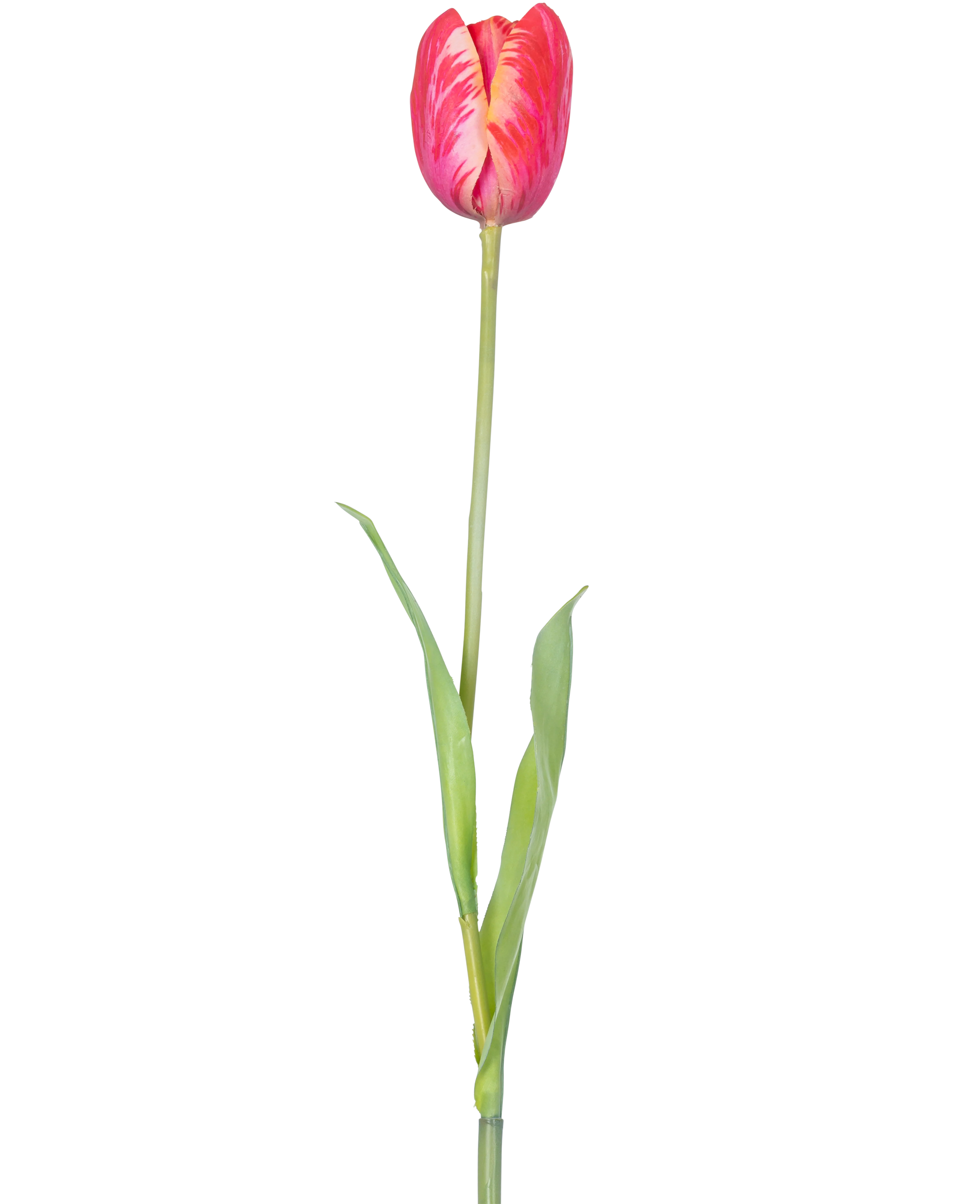 Miniatuur 1