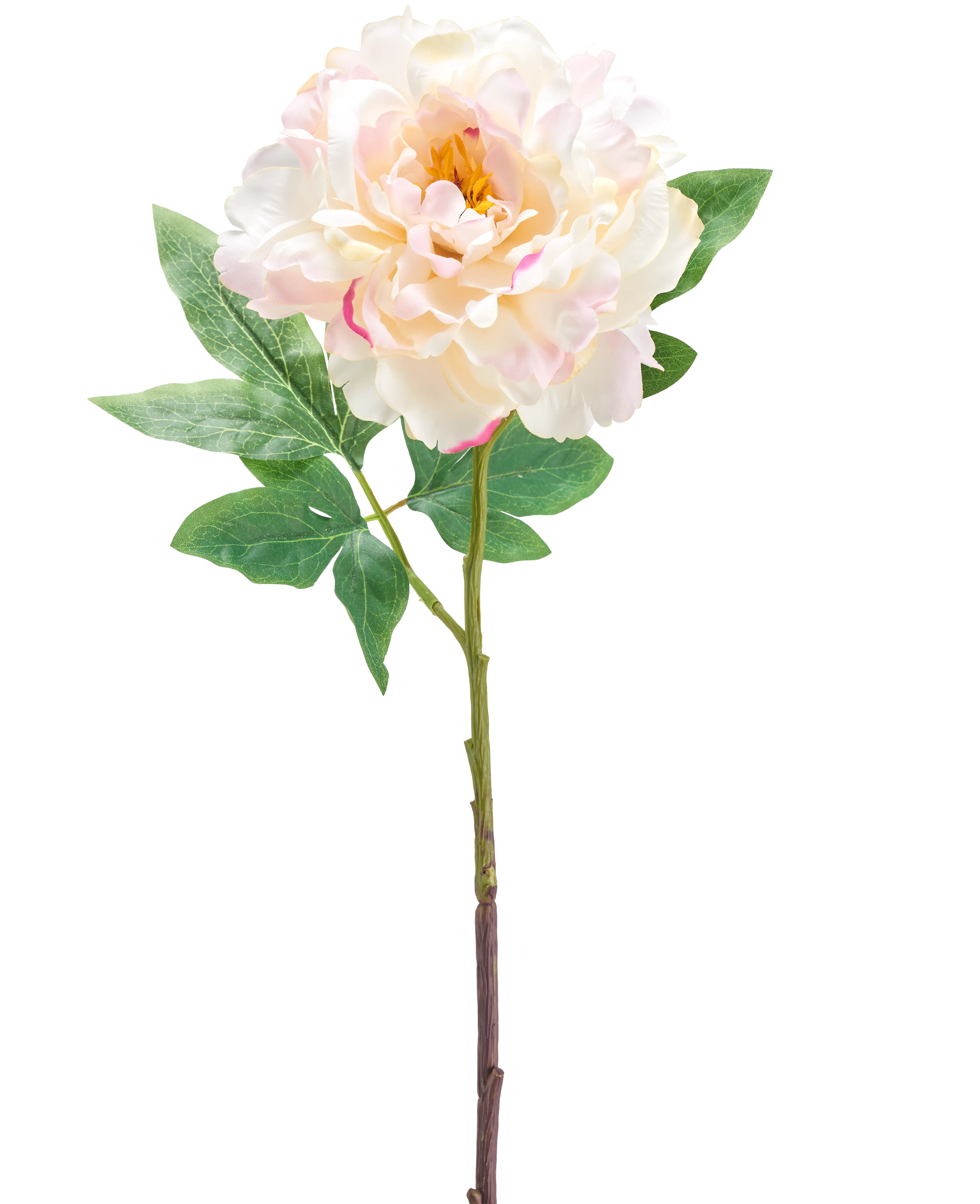 Miniatuur 1