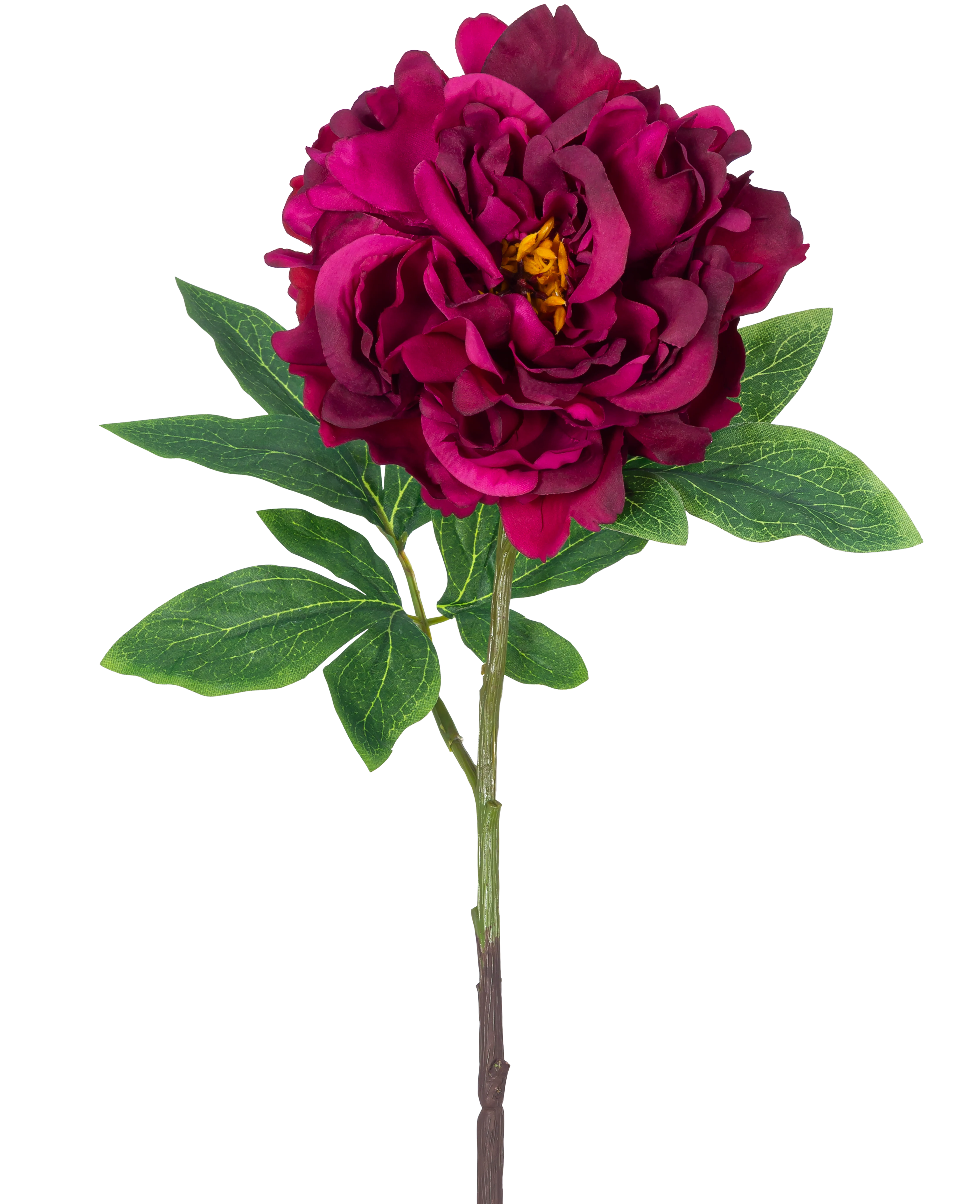 Miniatuur 1