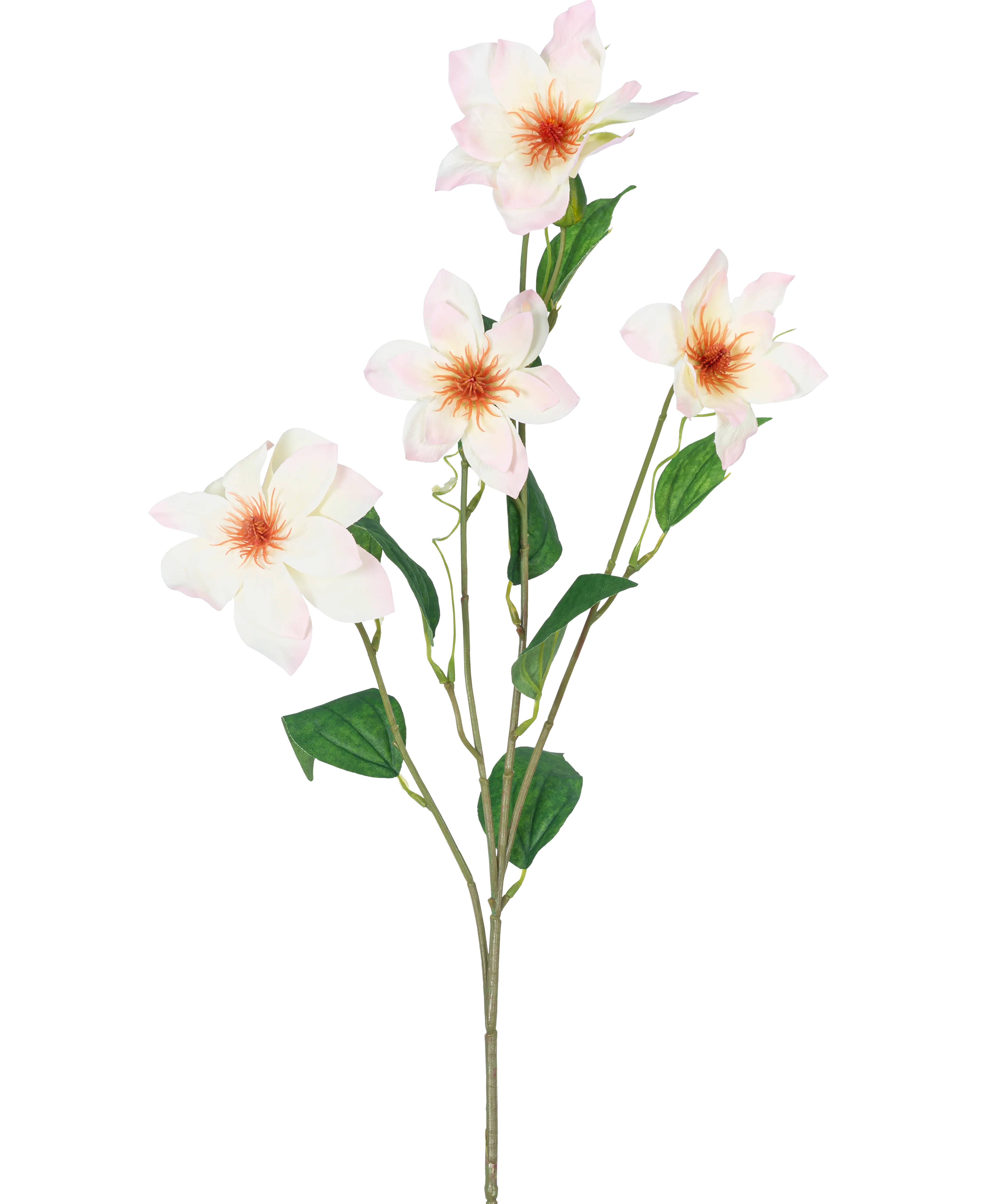 Miniatuur 1