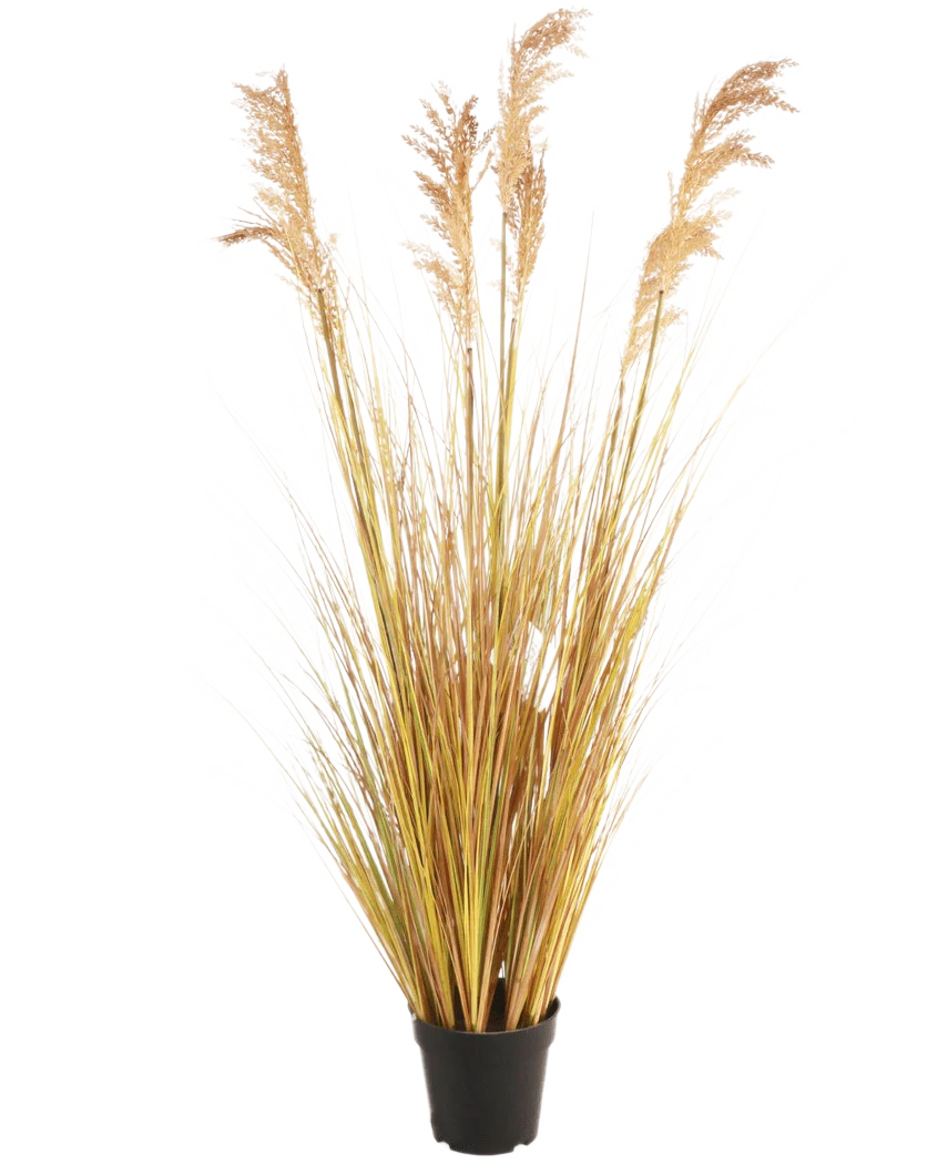 Productafbeelding 1