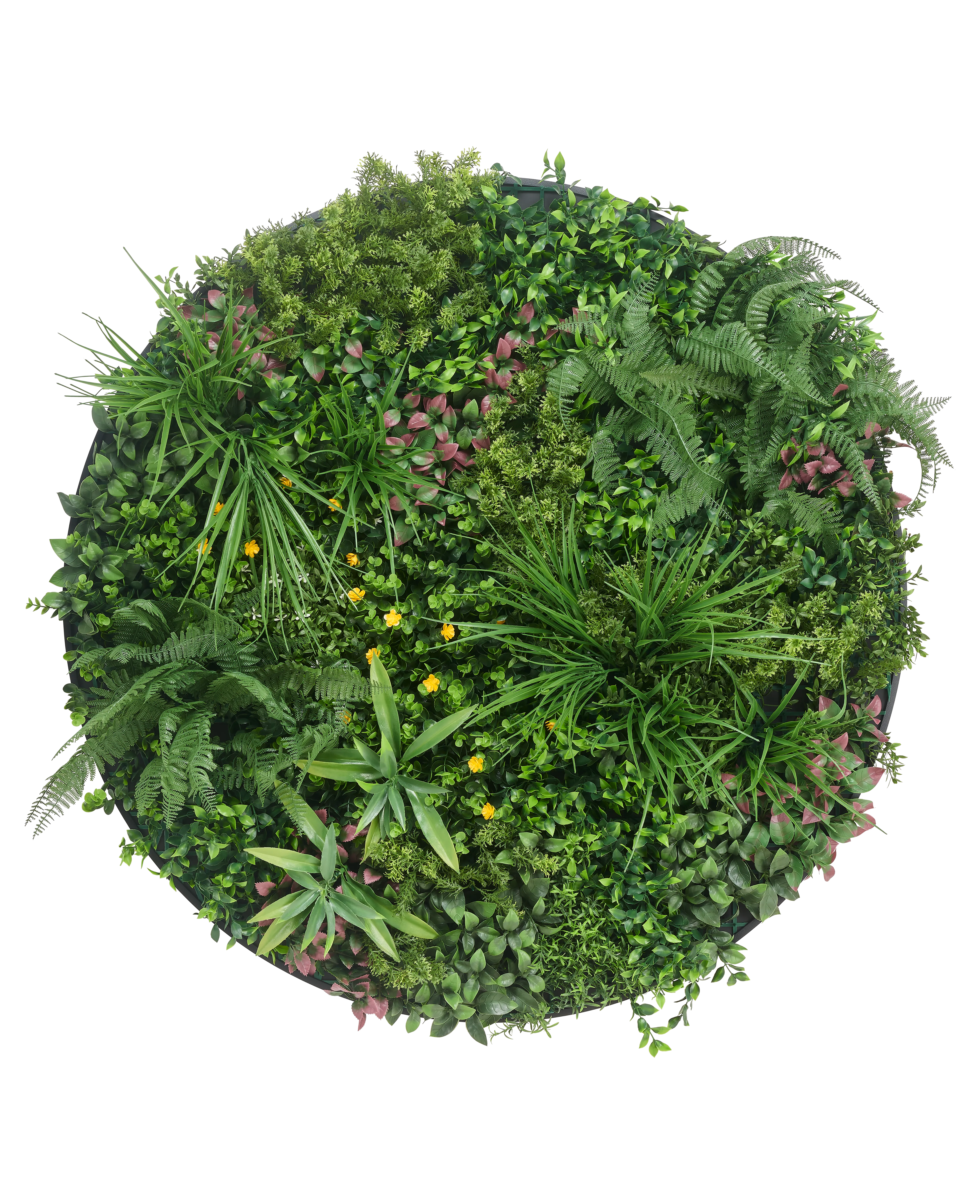 Miniatuur 1