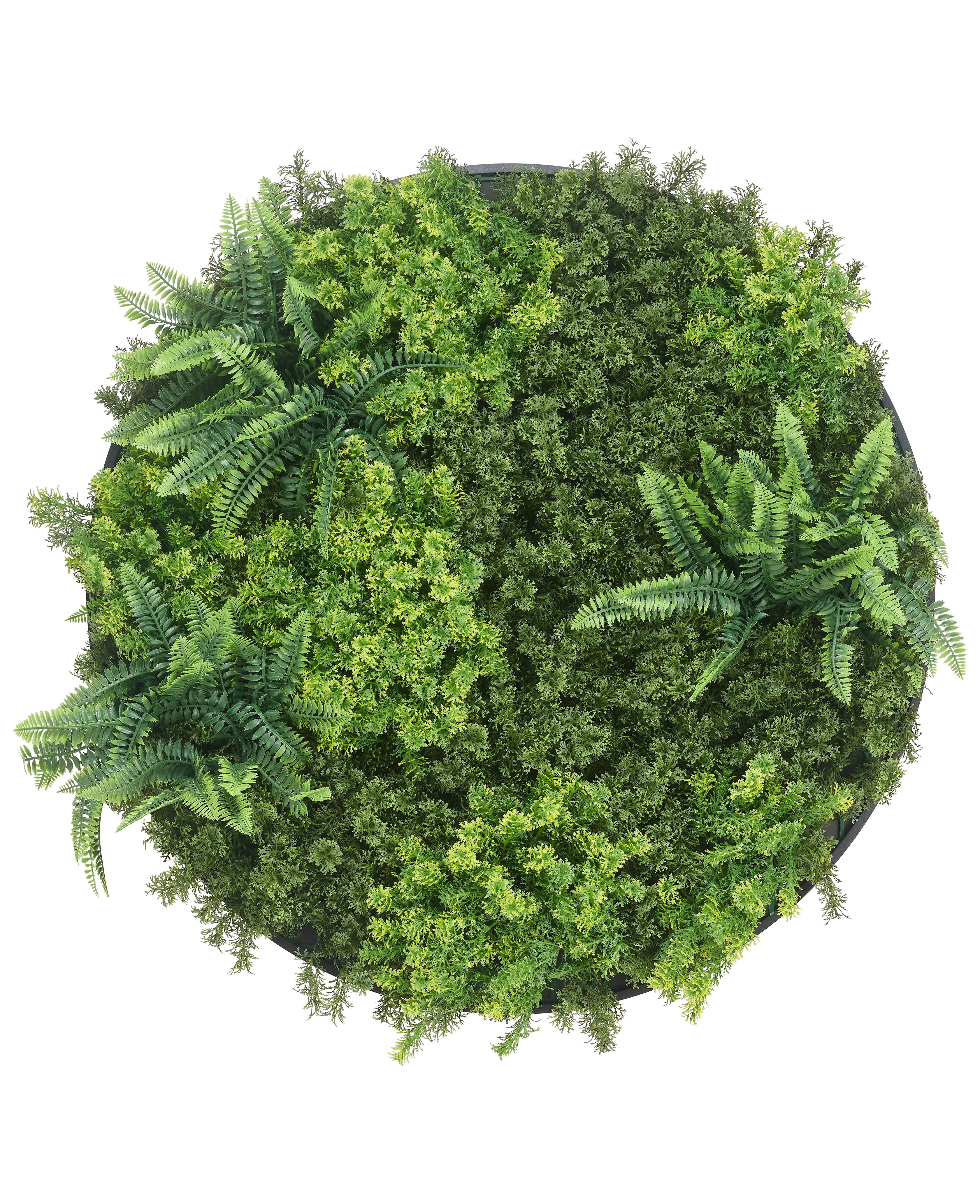 Miniatuur 1
