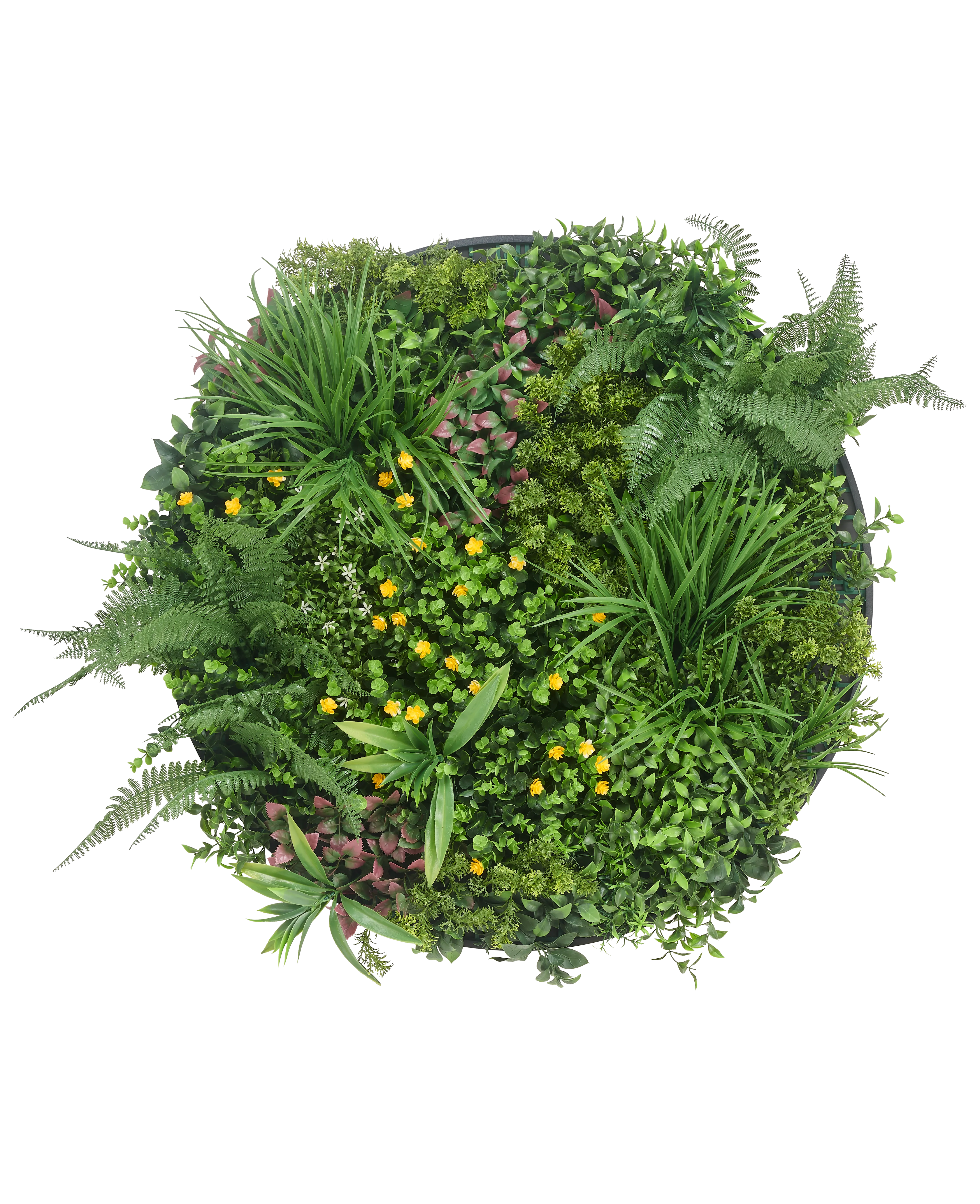 Miniatuur 1