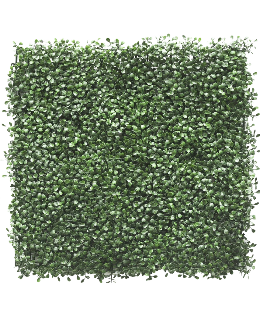 Miniatuur 1