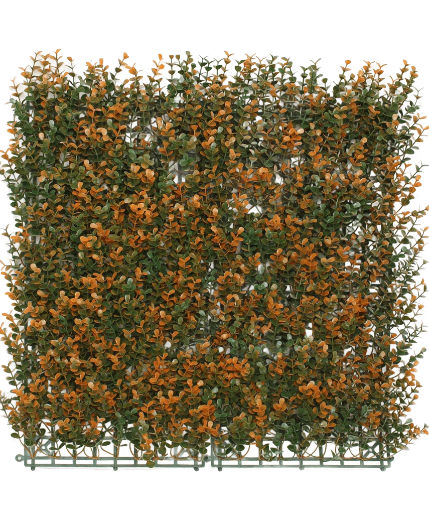 Miniatuur 1