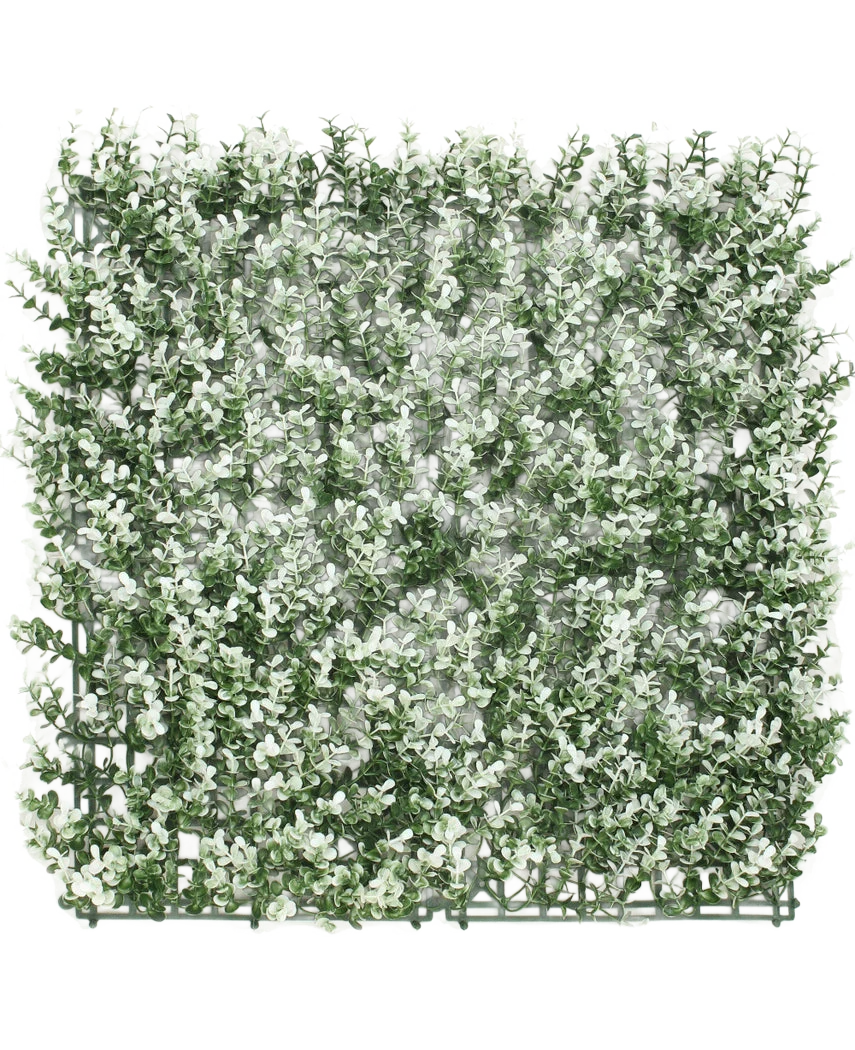 Miniatuur 1