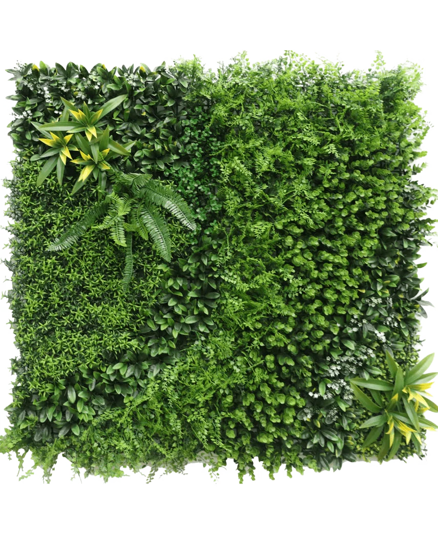 Miniatuur 1