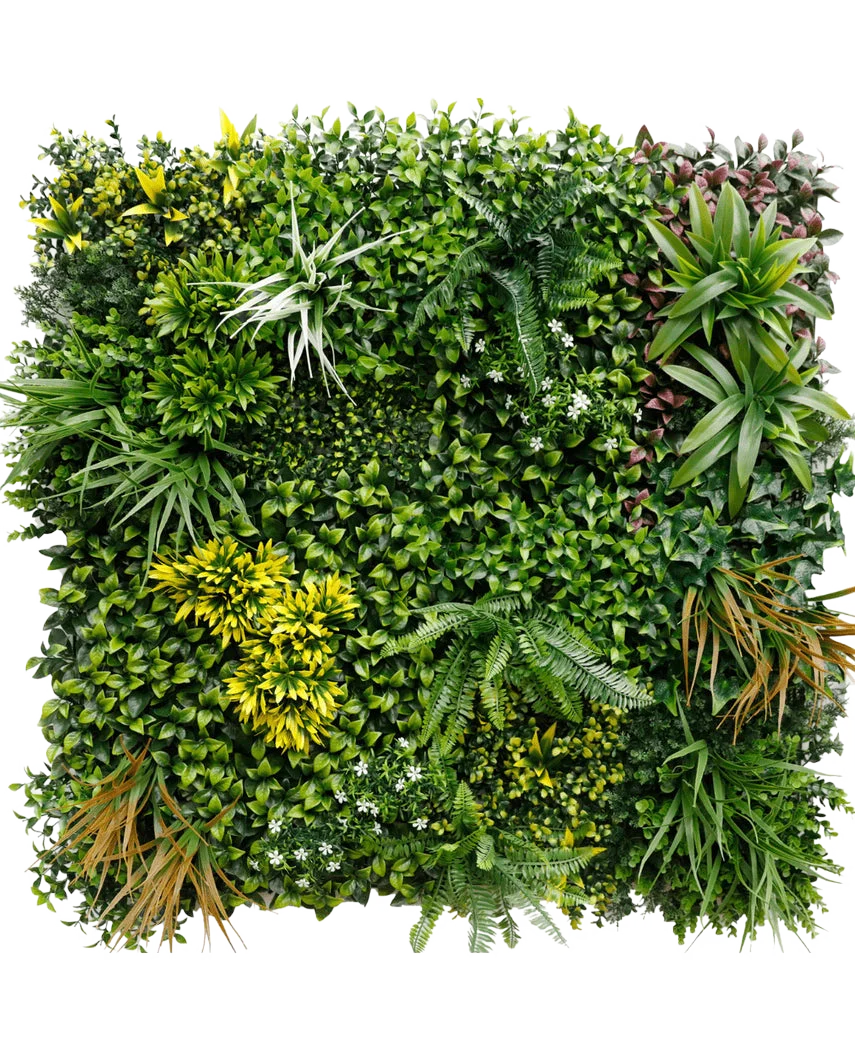 Miniatuur 1