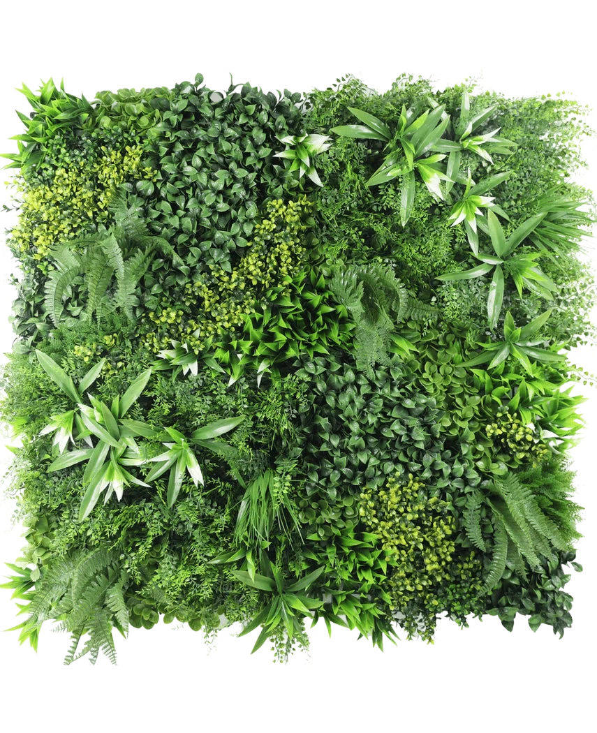 Miniatuur 1