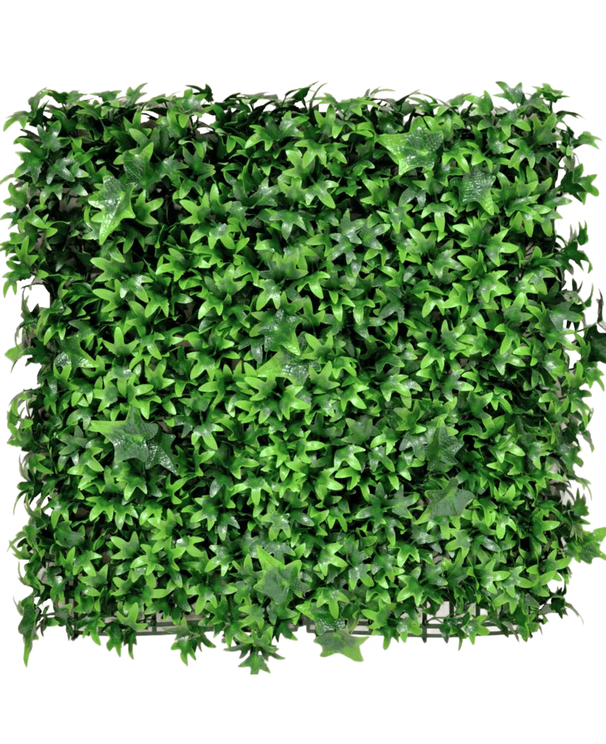 Miniatuur 1