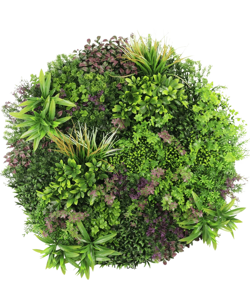 Miniatuur 1