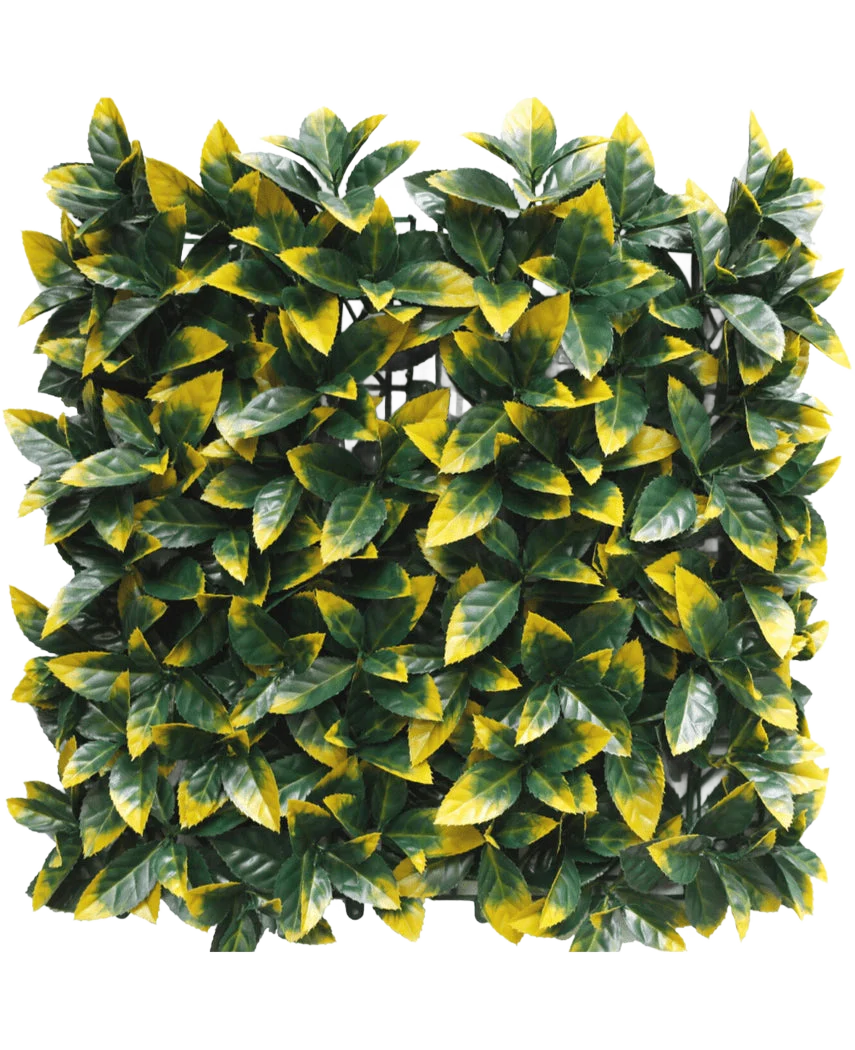 Productafbeelding 1