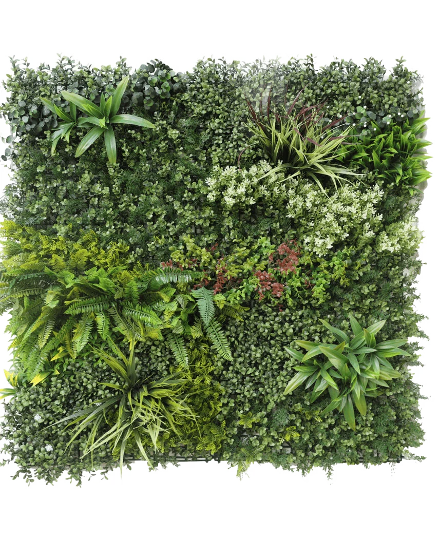 Miniatuur 1