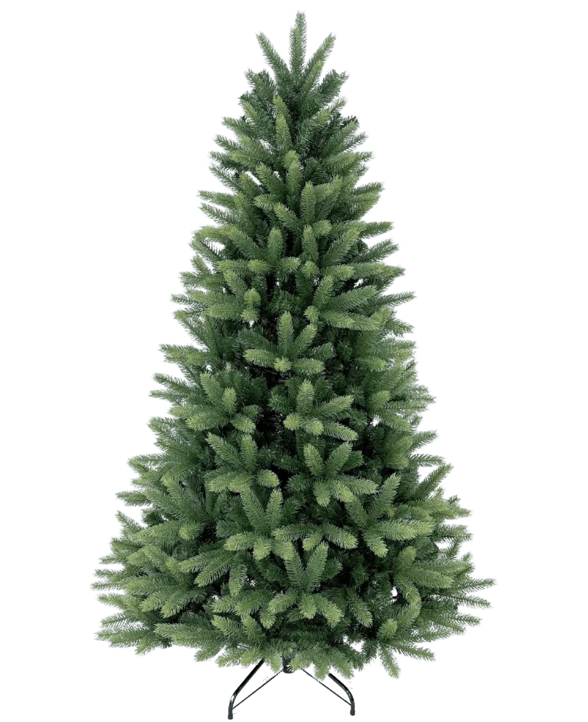 Miniatuur 1