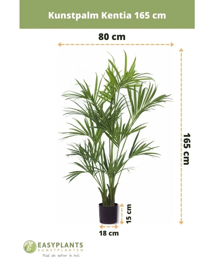 Productafbeelding 3