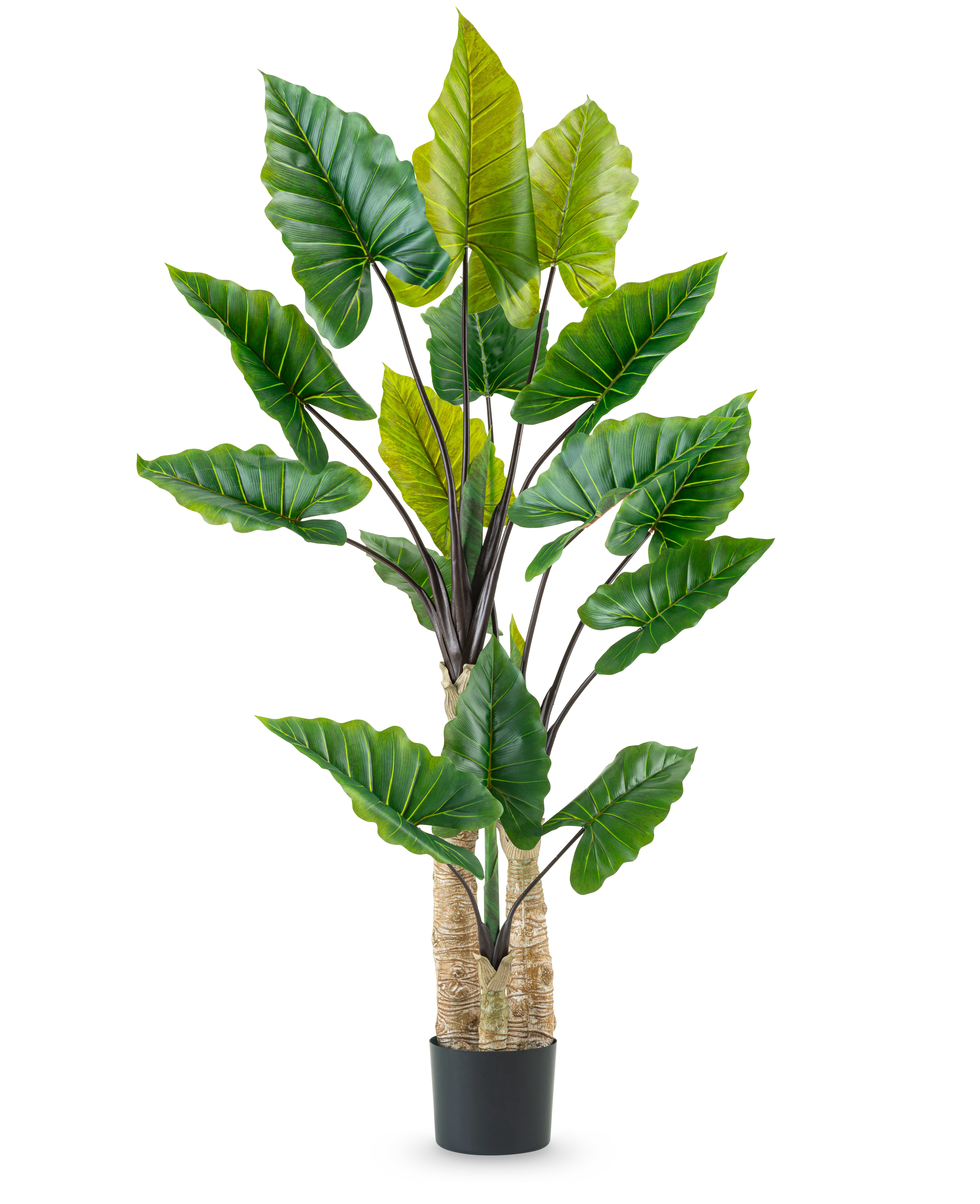 Miniatuur 1