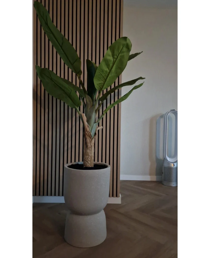 Miniatuur 2