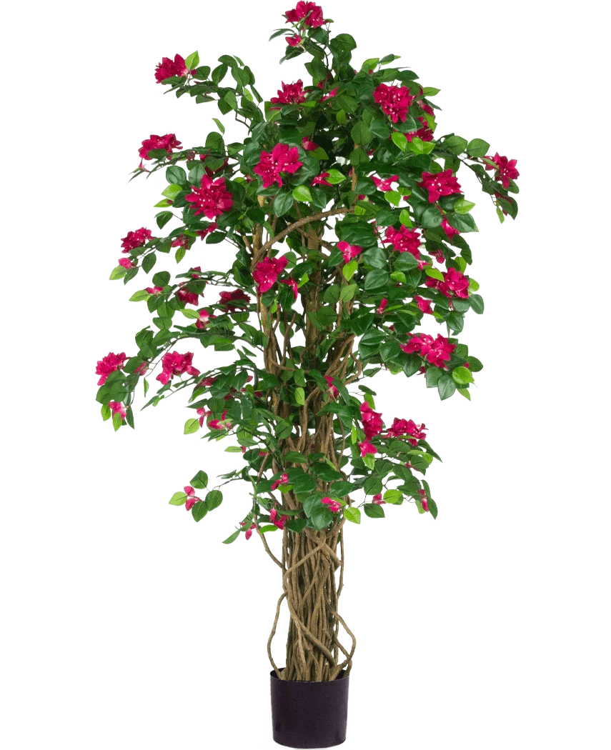 Productafbeelding 1