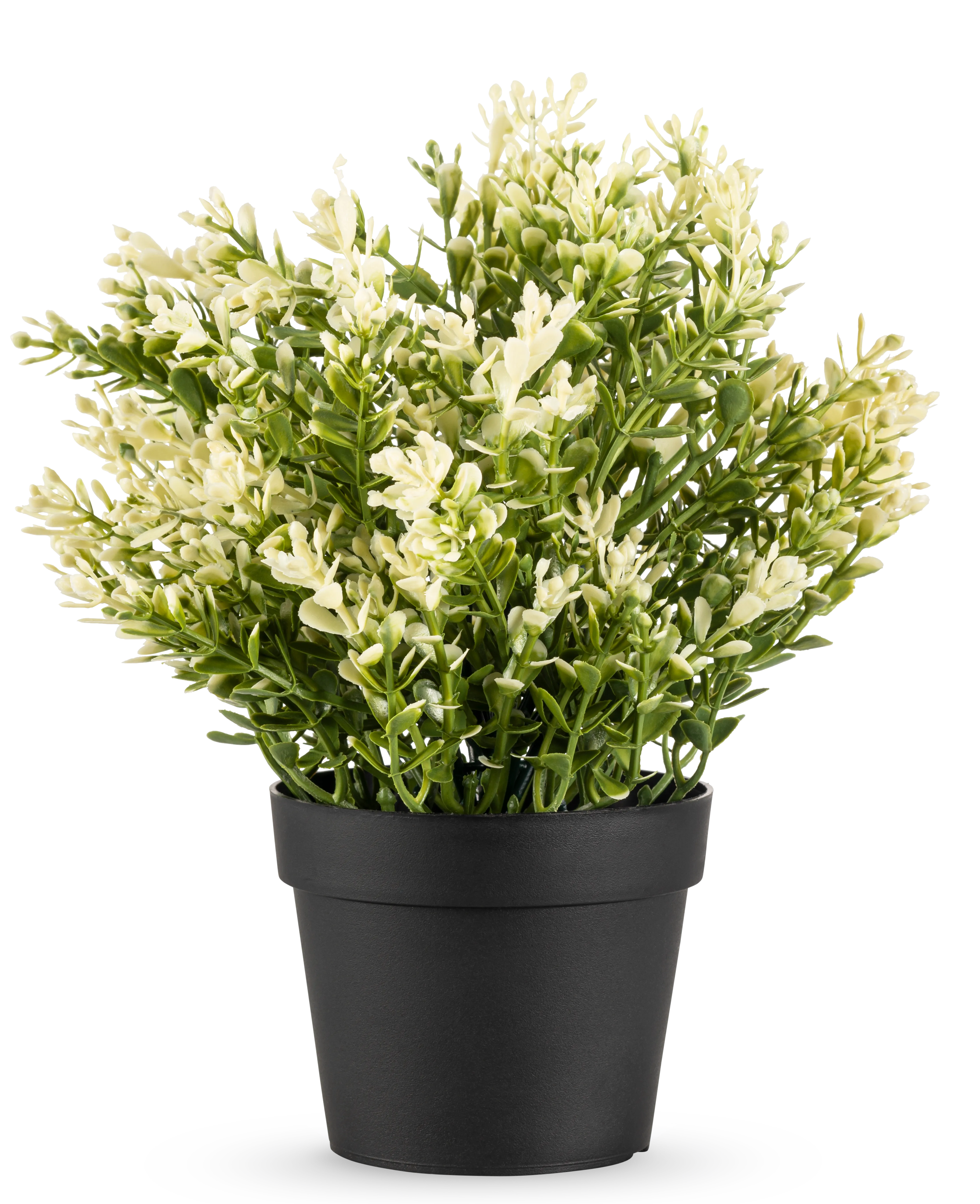 Miniatuur 1