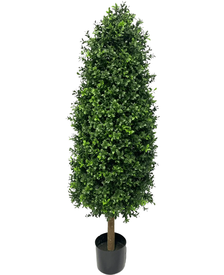 Miniatuur 1