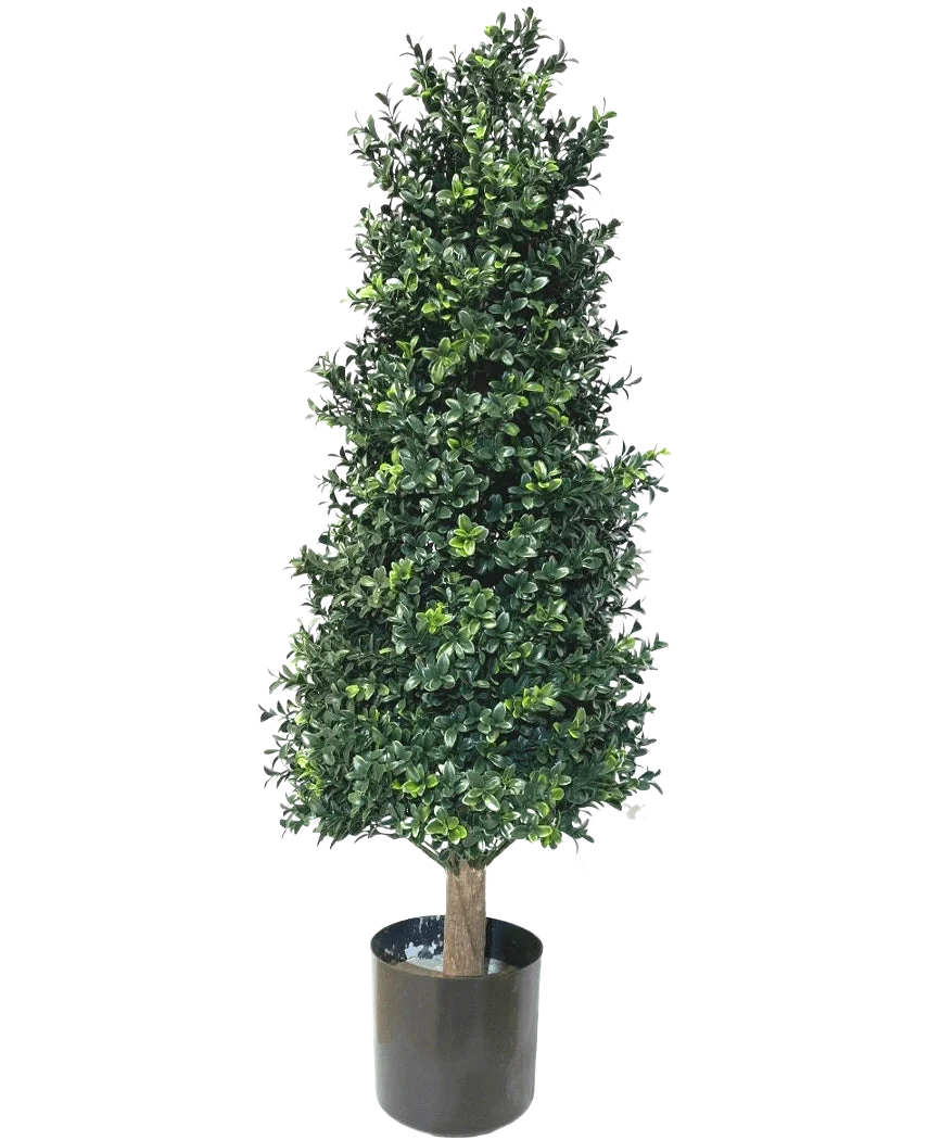 Miniatuur 1
