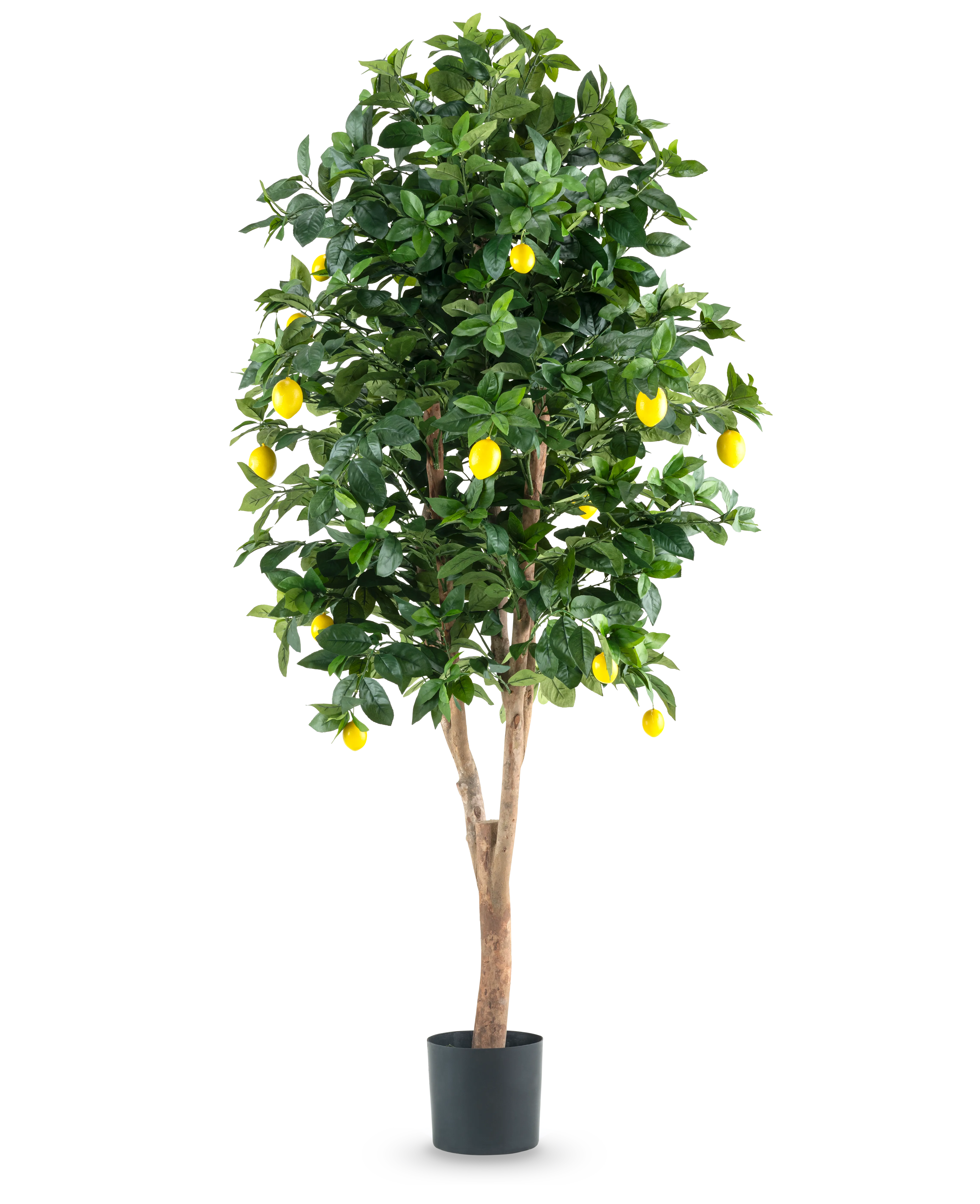 Miniatuur 1