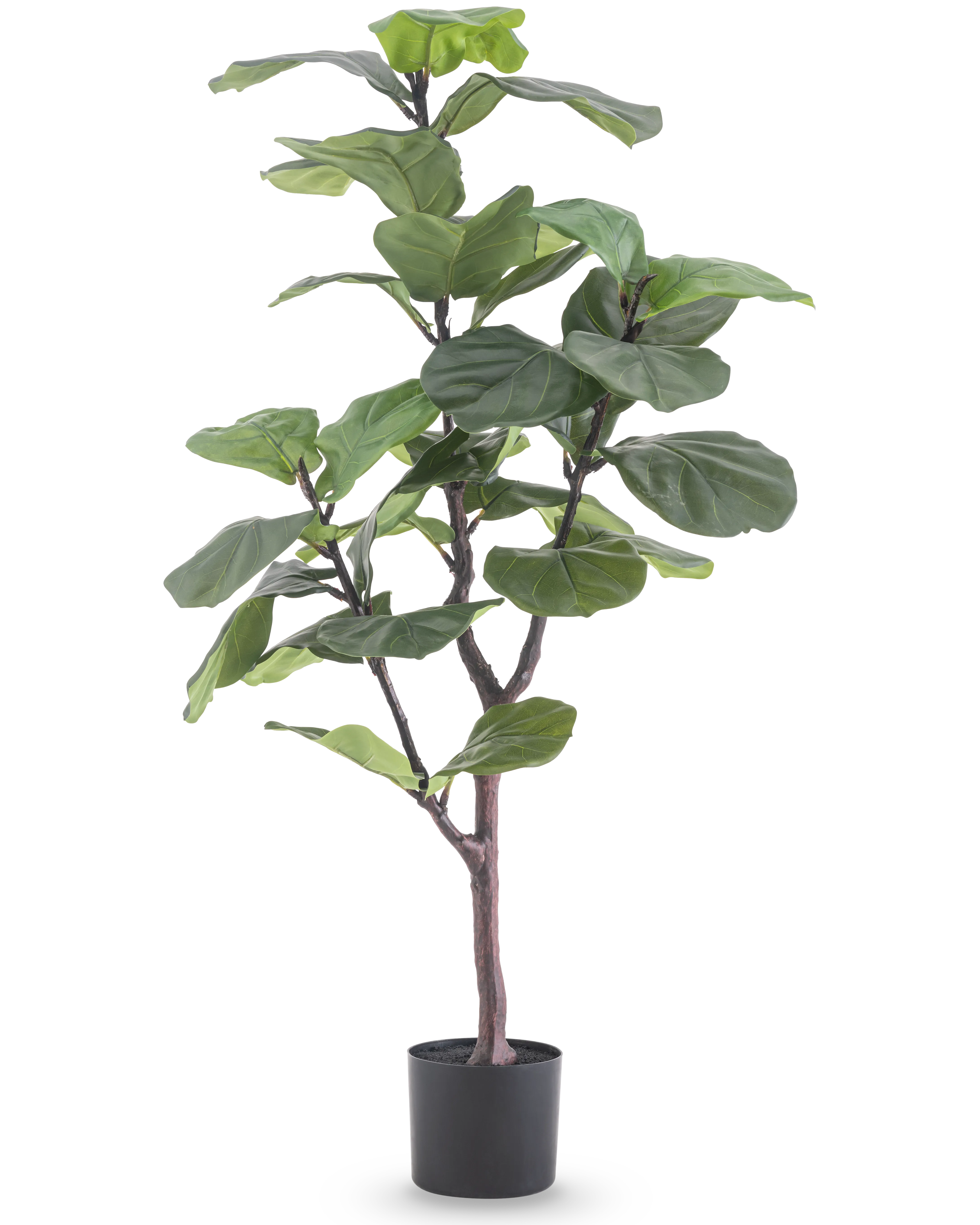 Miniatuur 1