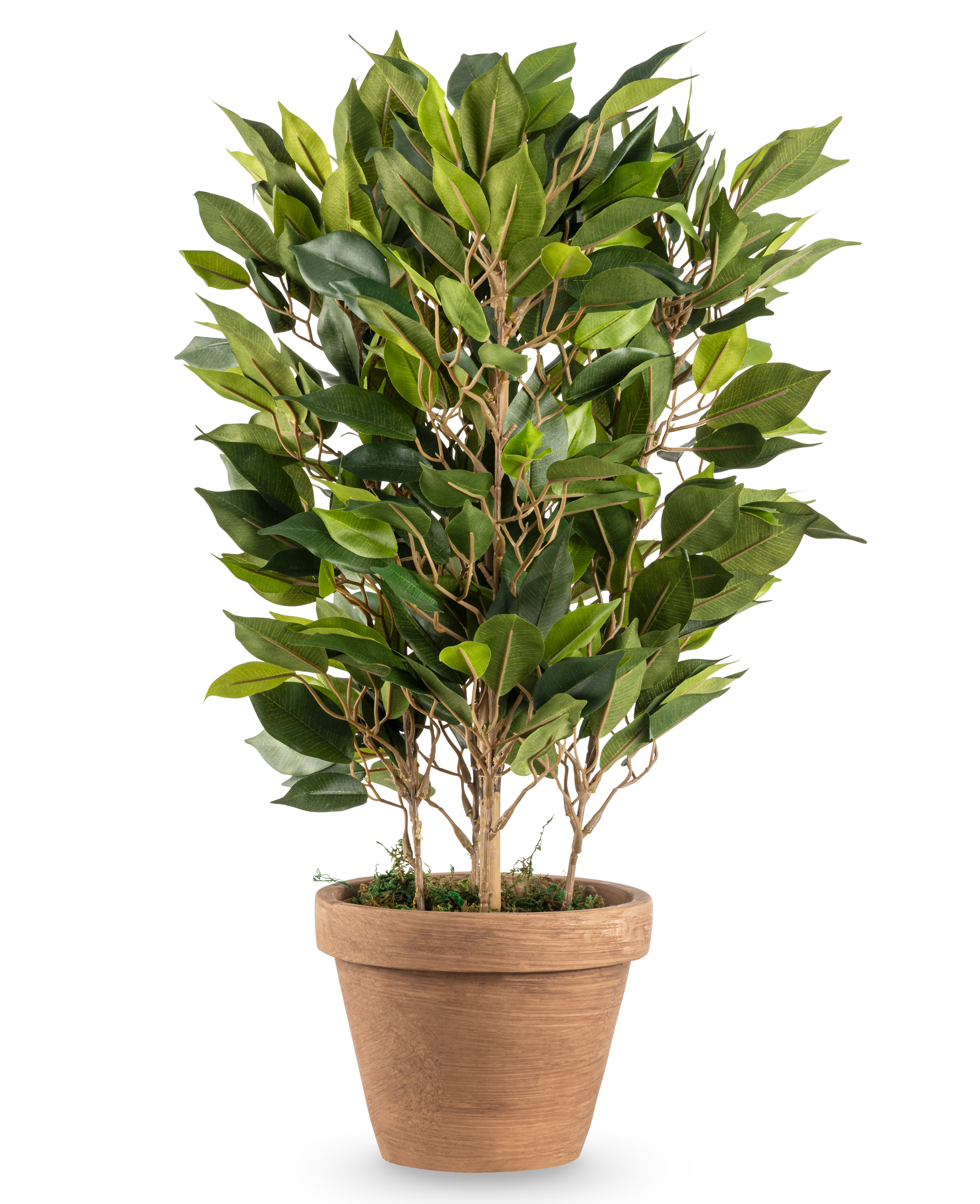 Miniatuur 1