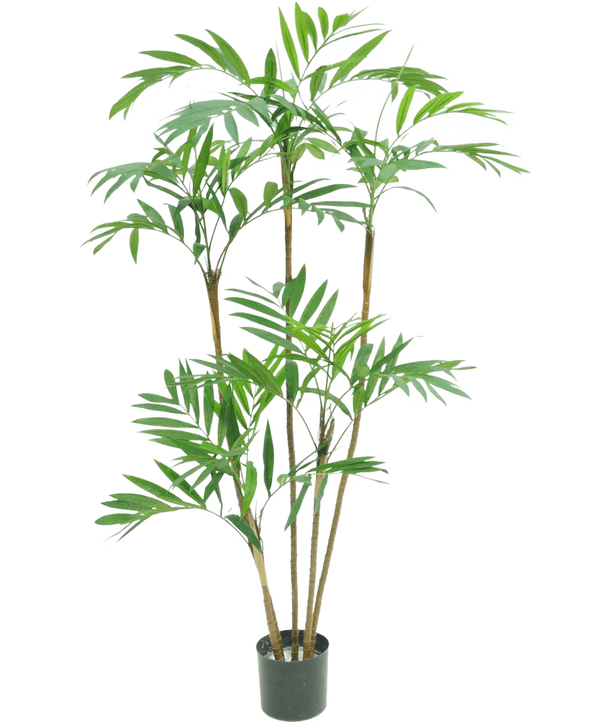 Miniatuur 1