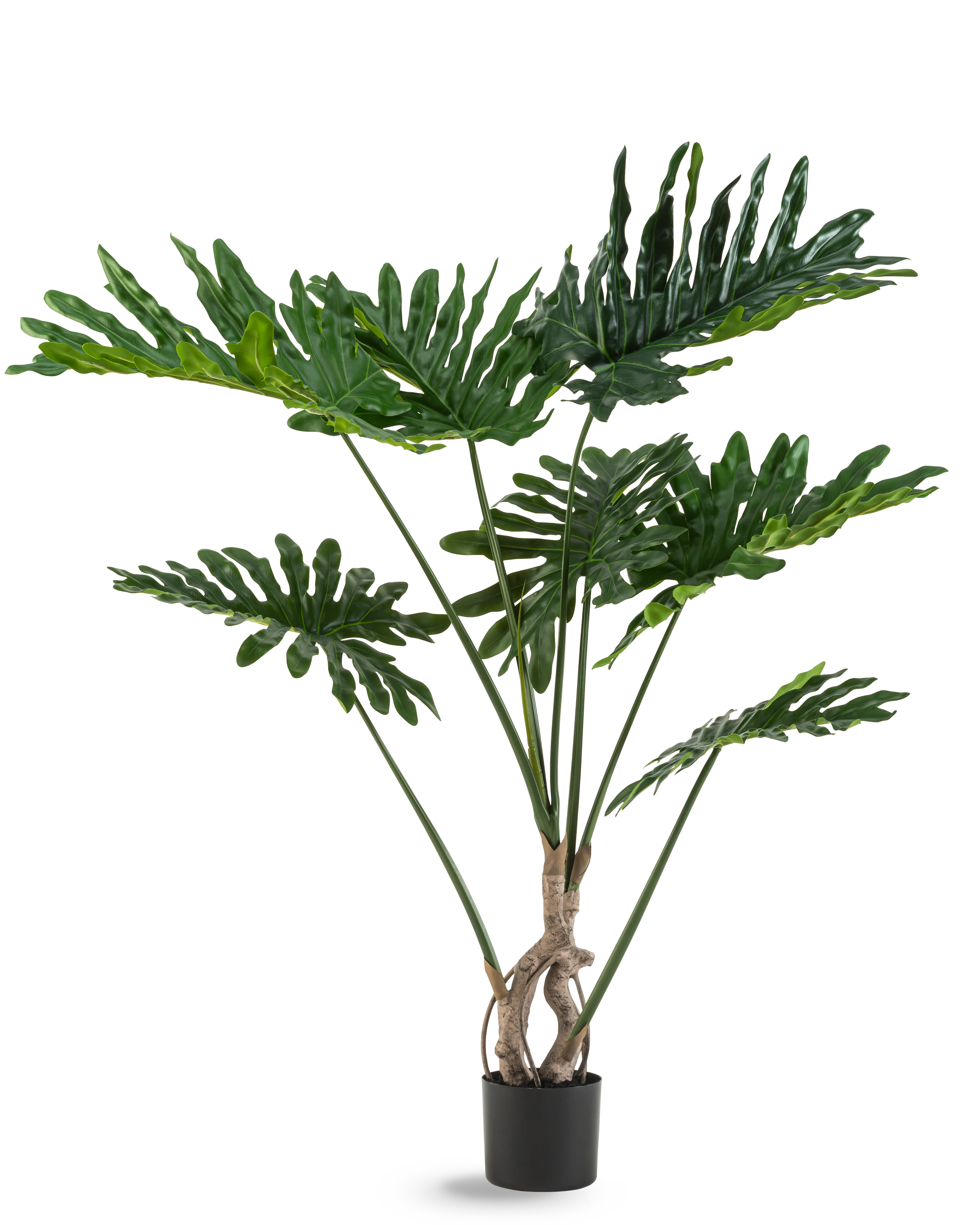 Miniatuur 1