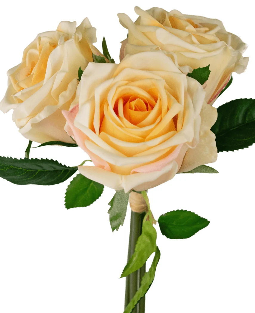 Miniatuur 2