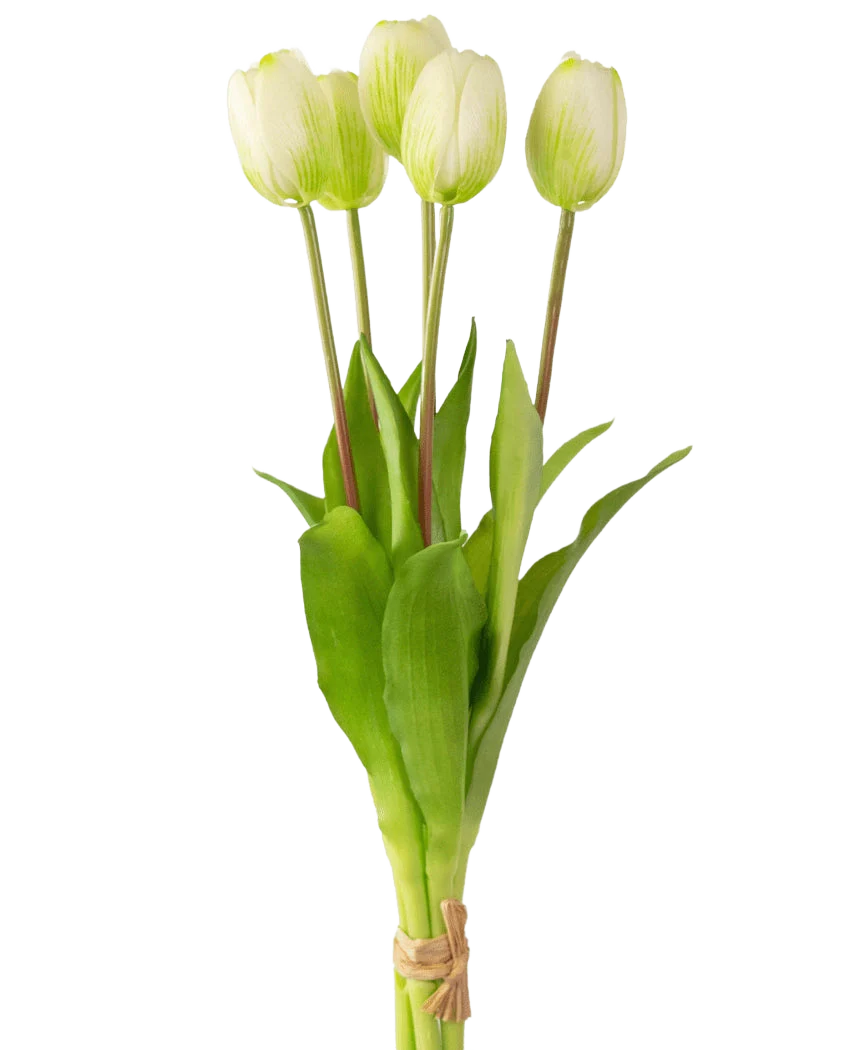 Miniatuur 1