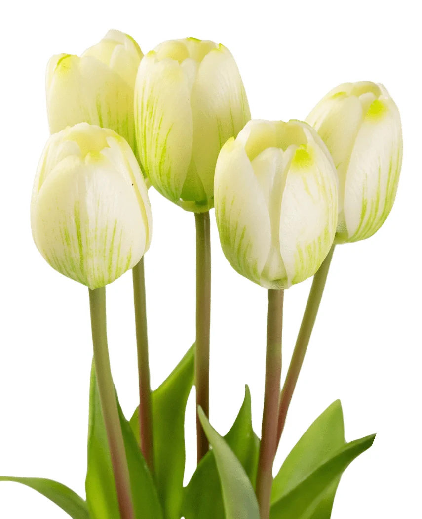 Miniatuur 2