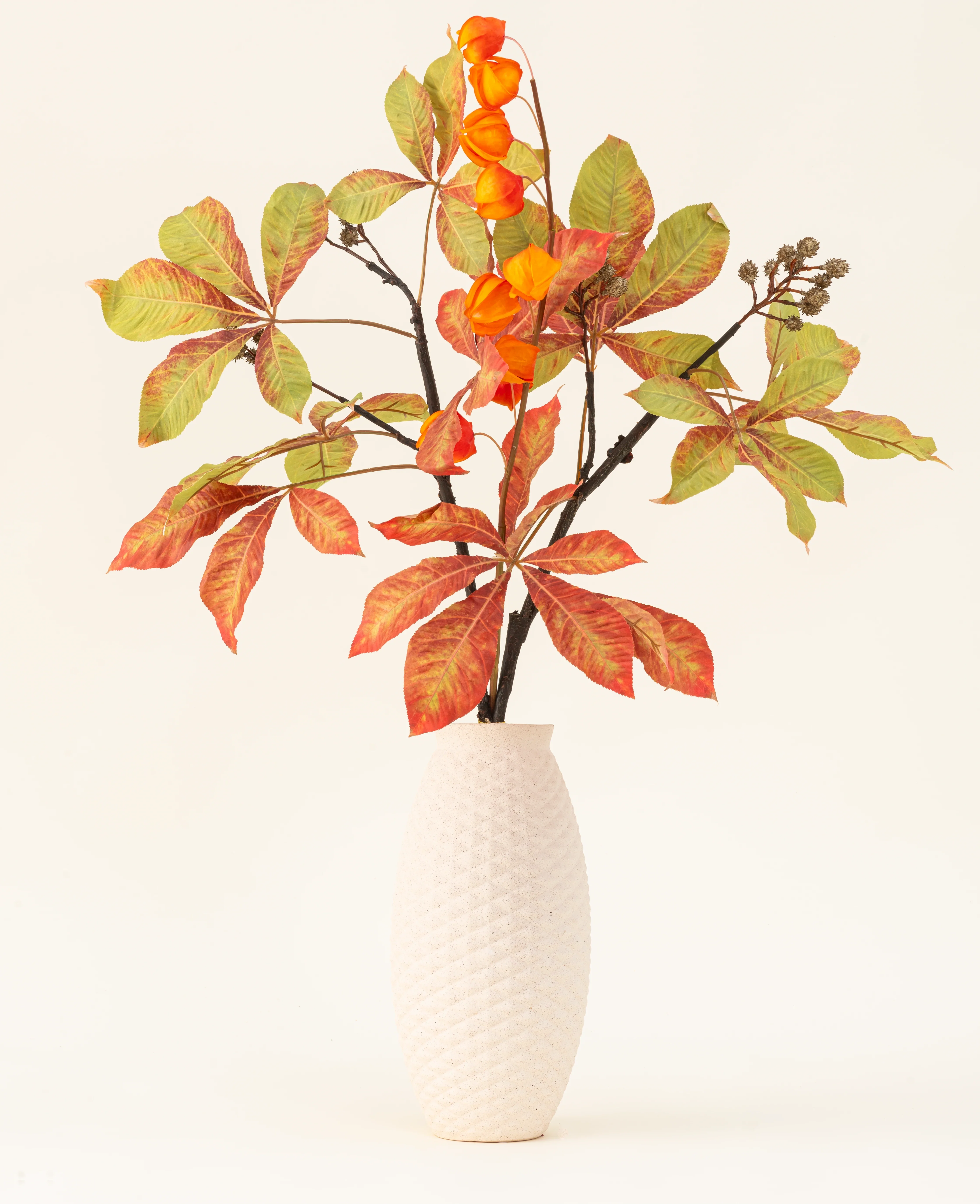 Miniatuur 1